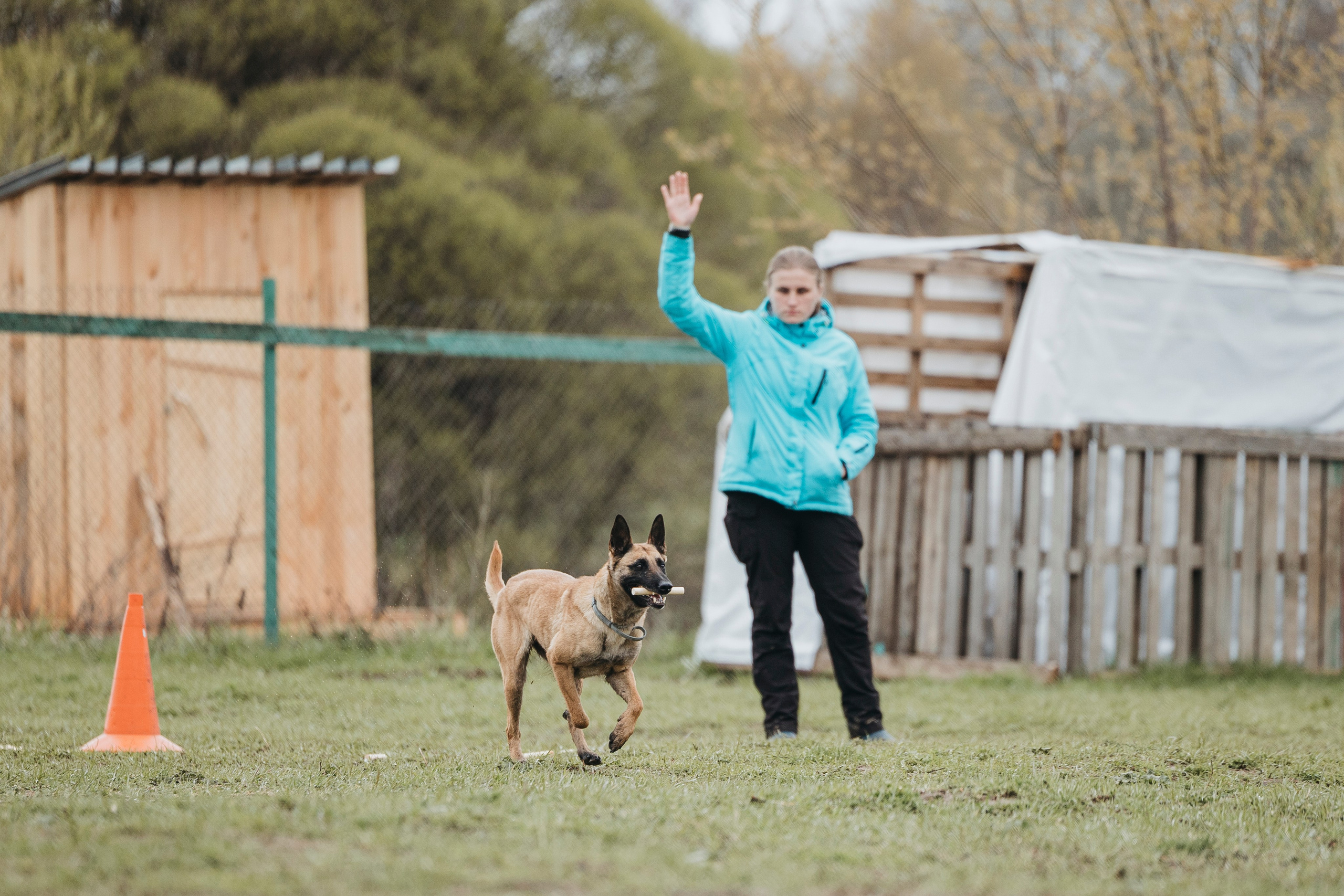09.05.25 Вологда соревнования. Фотограф-анималист Анна Маринич