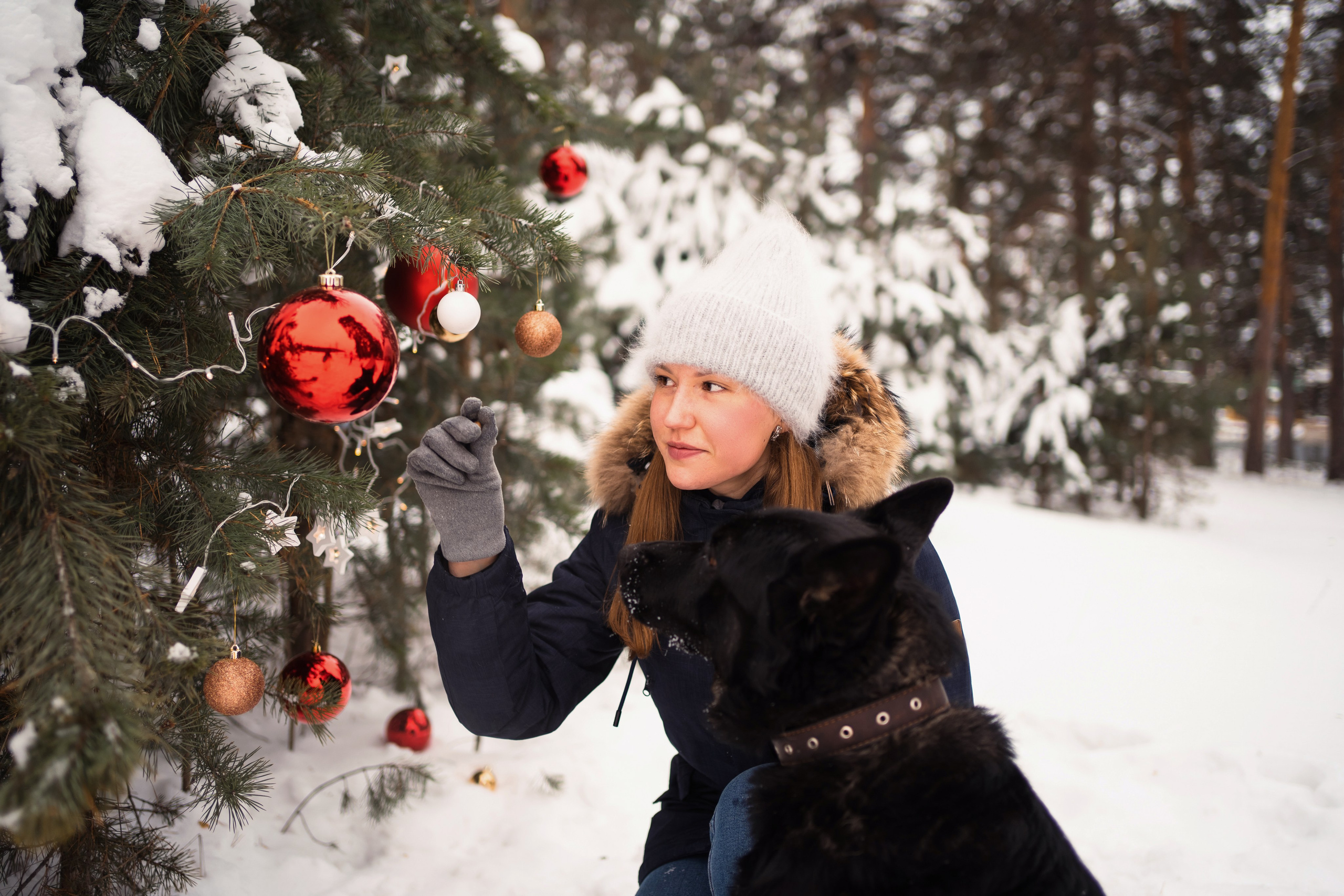 Г. Миасс 2023-2024. Фотограф-анималист Анастасия Большакова