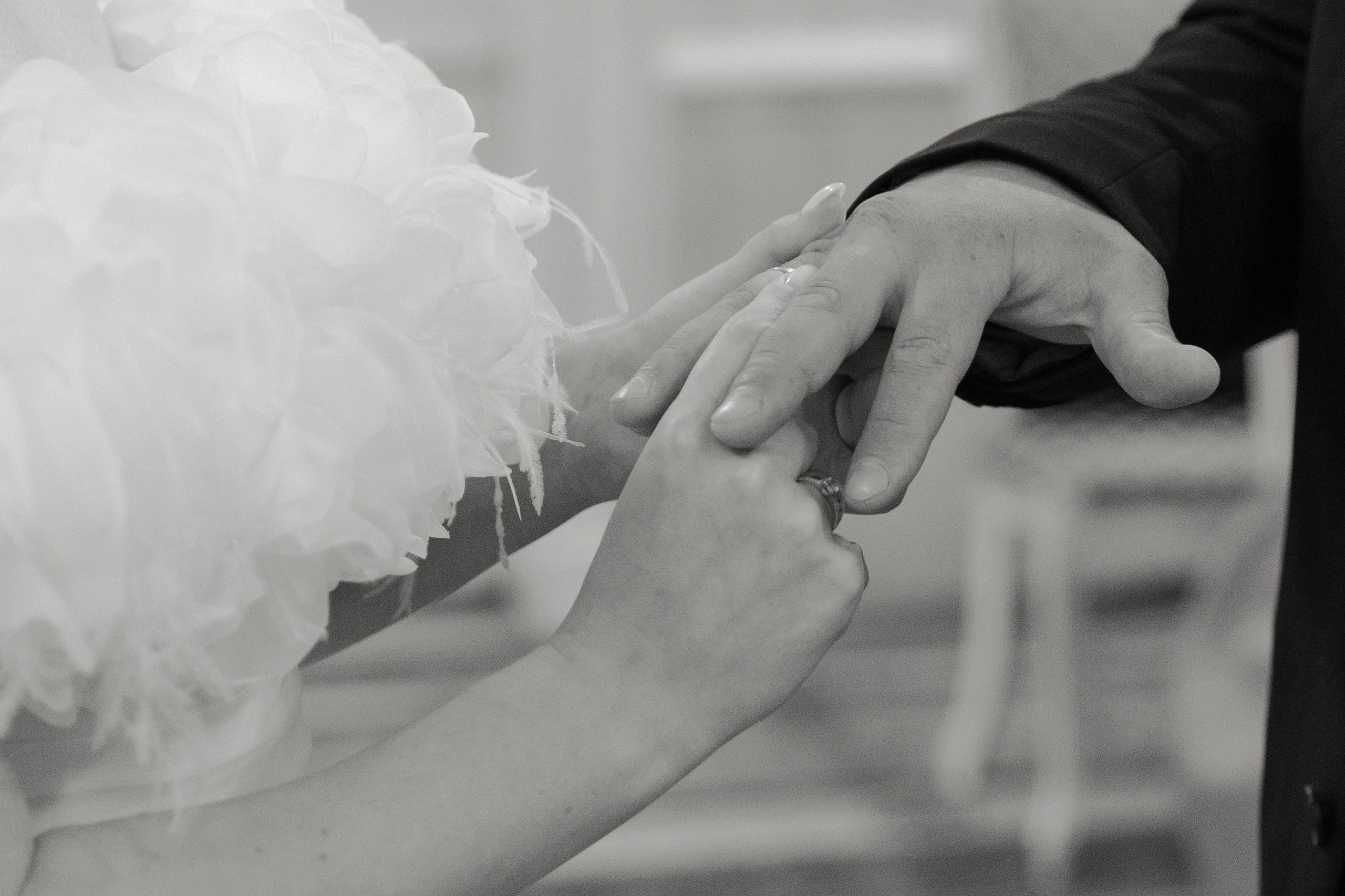 Дмитрий и Алина. @dariazphoto свадебный фотограф