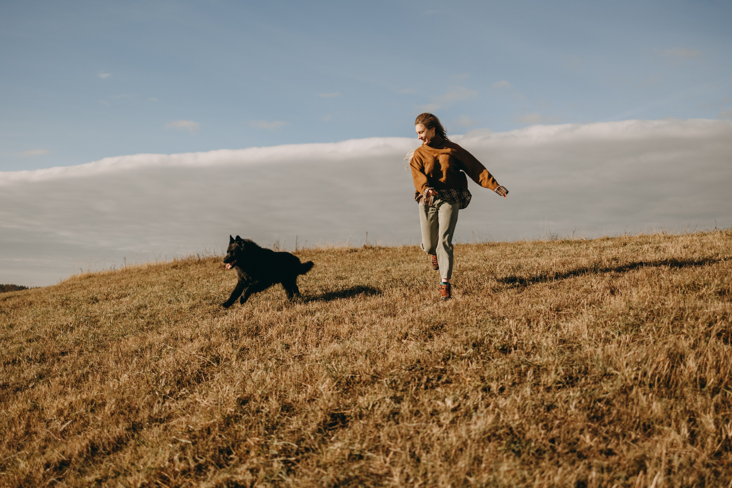 Лора и Джанго. Фотограф — Анималист | Санкт-Петербург