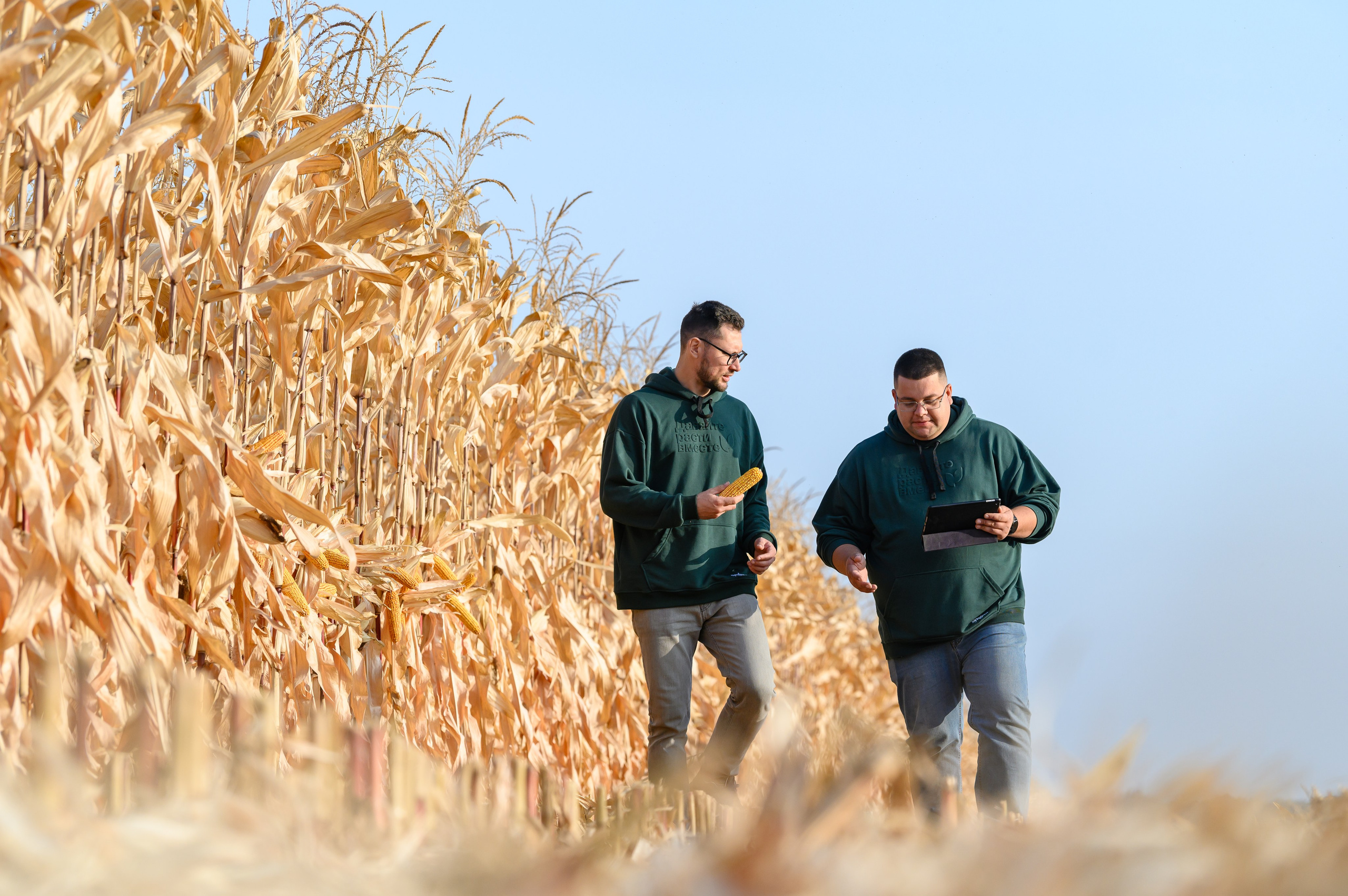 Проекты. Профессиональный фотограф Вячеслав Плацында | Липецк |