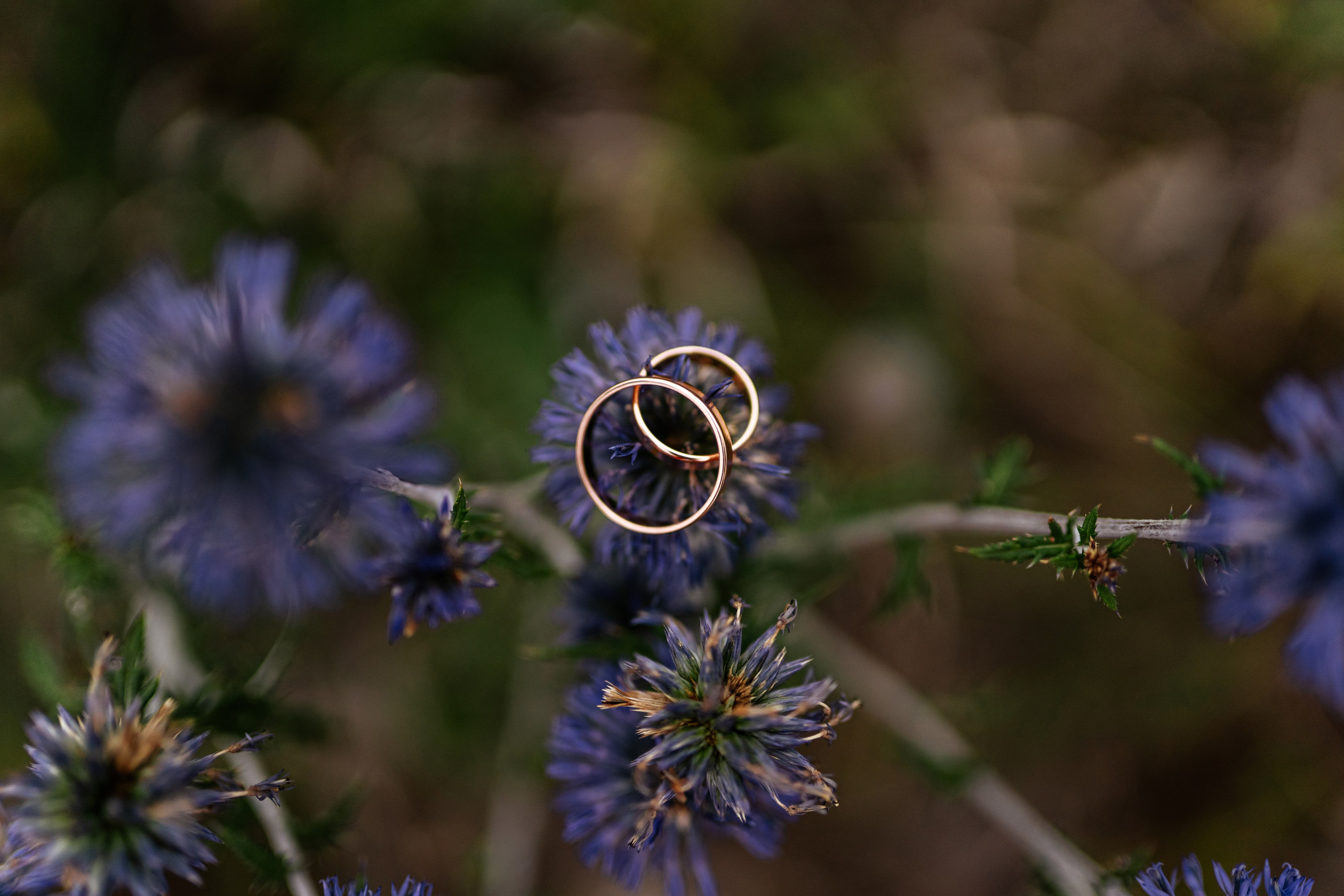 Фотограф Спирина Ирина