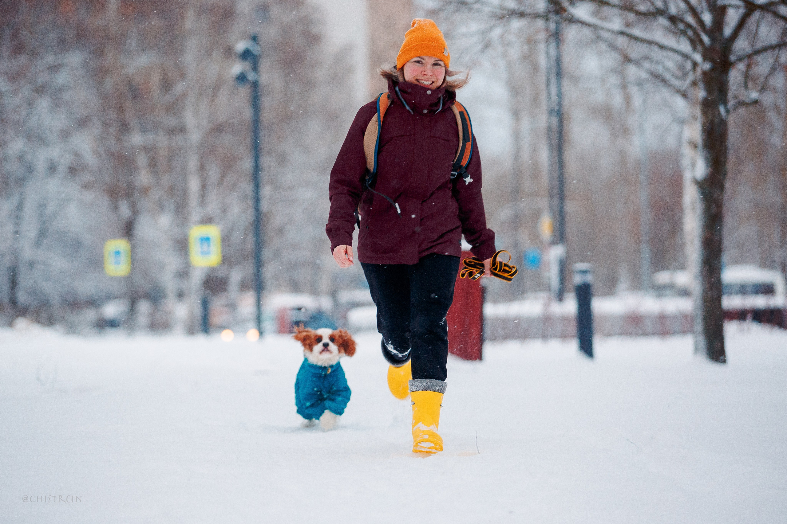 Внезапно апрельская зима. Фотограф-анималист Наталия Чистюхина в г. Сосновый Бор и ЛО