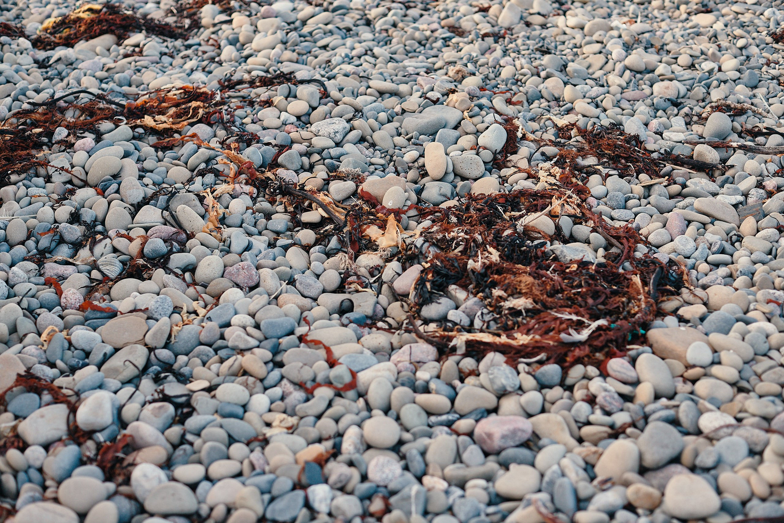 Рыбачий 2023. Место силы. Фотограф Валерий Сабрам