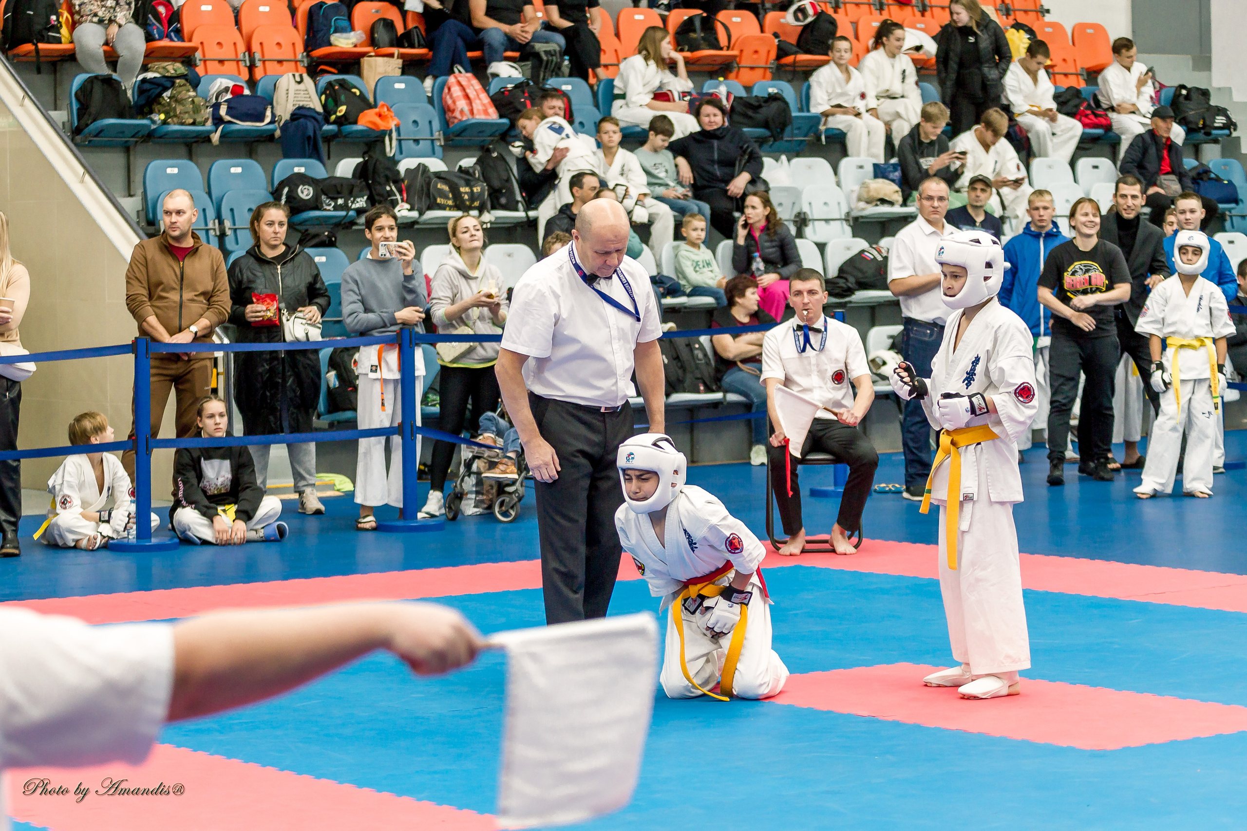 Чемпионат по Киокушинкай Центрального Федерального округа. Репортажная съемка в Москве и области. Анималистика