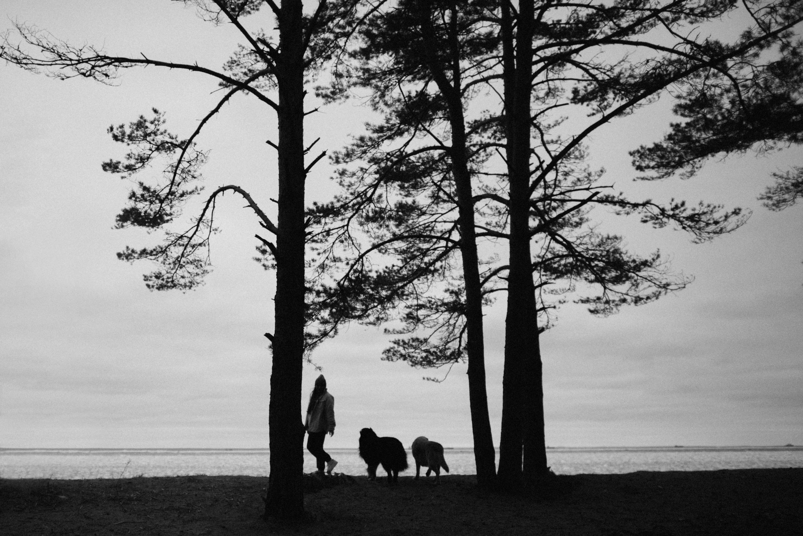 Прогулка: берн Пума, Фрэнк и Юля в Питере. Портфолио