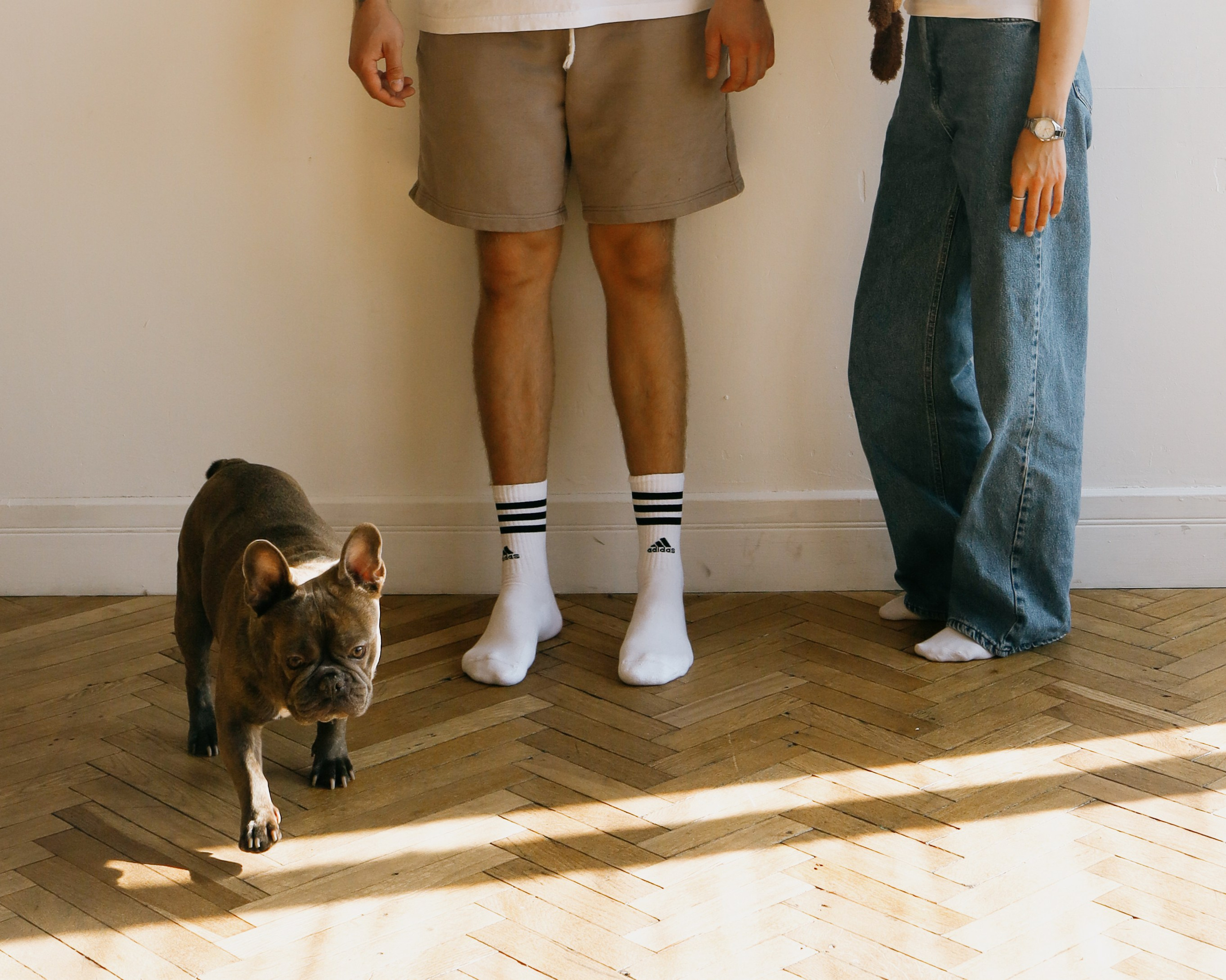 С хвостиками. Портретный фотограф в Москве. Фотосессии с собаками