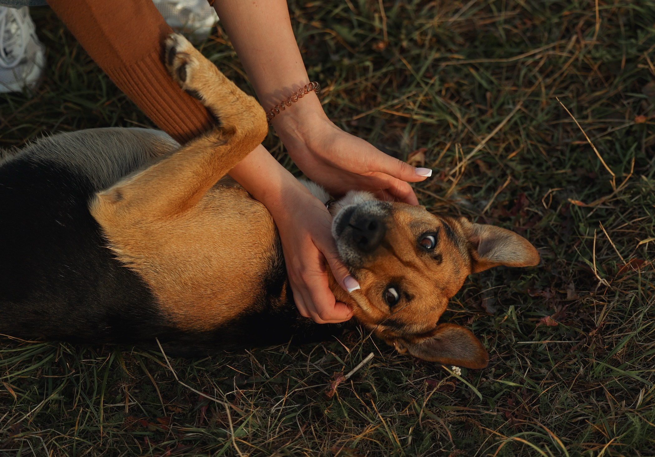 Прогулка на природе. Фотограф-анималист Полина Колкова | Москва