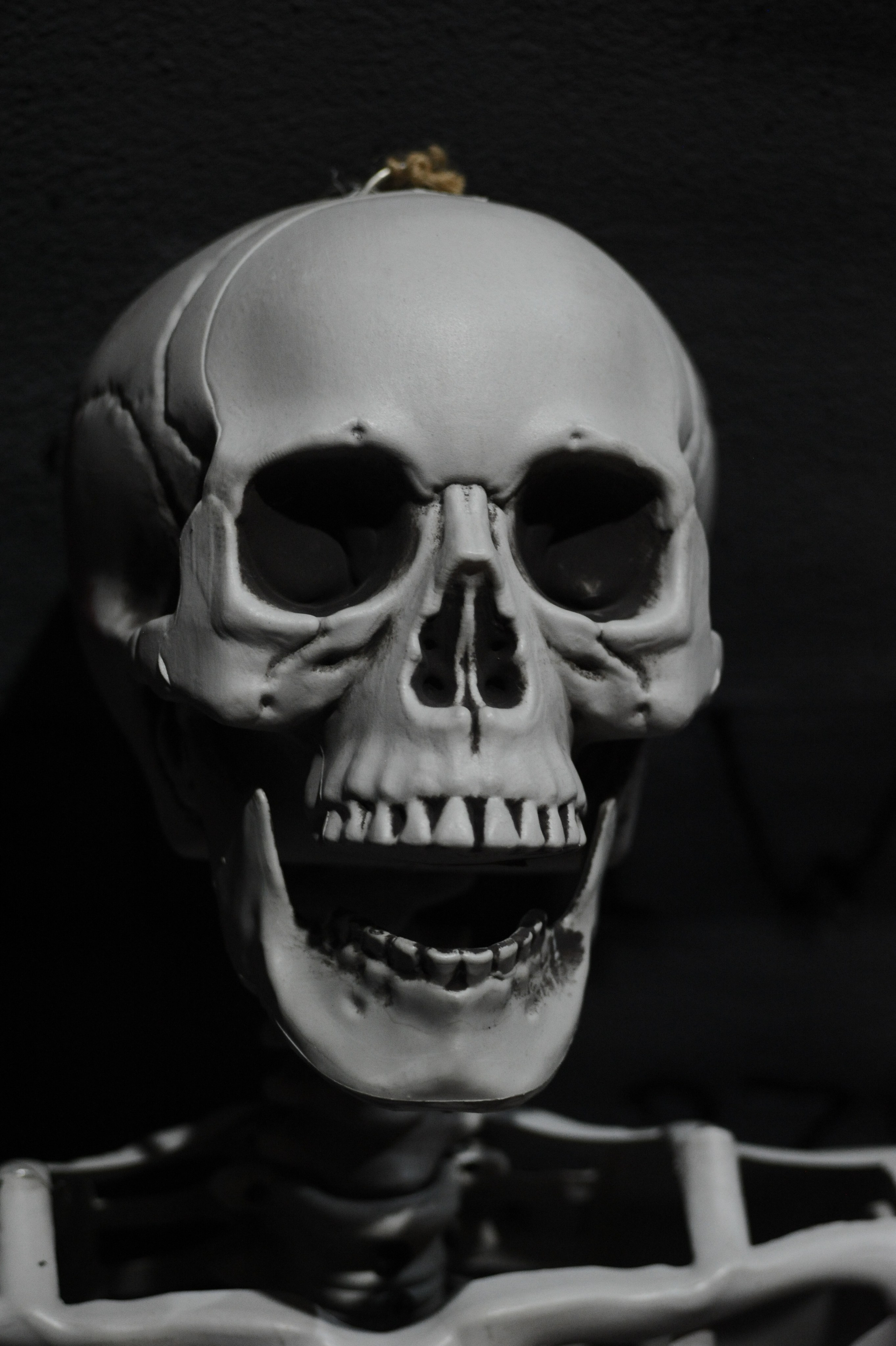 Magic Fest 26.10.2025. Фотограф Михаил Морозов. Москва и МО