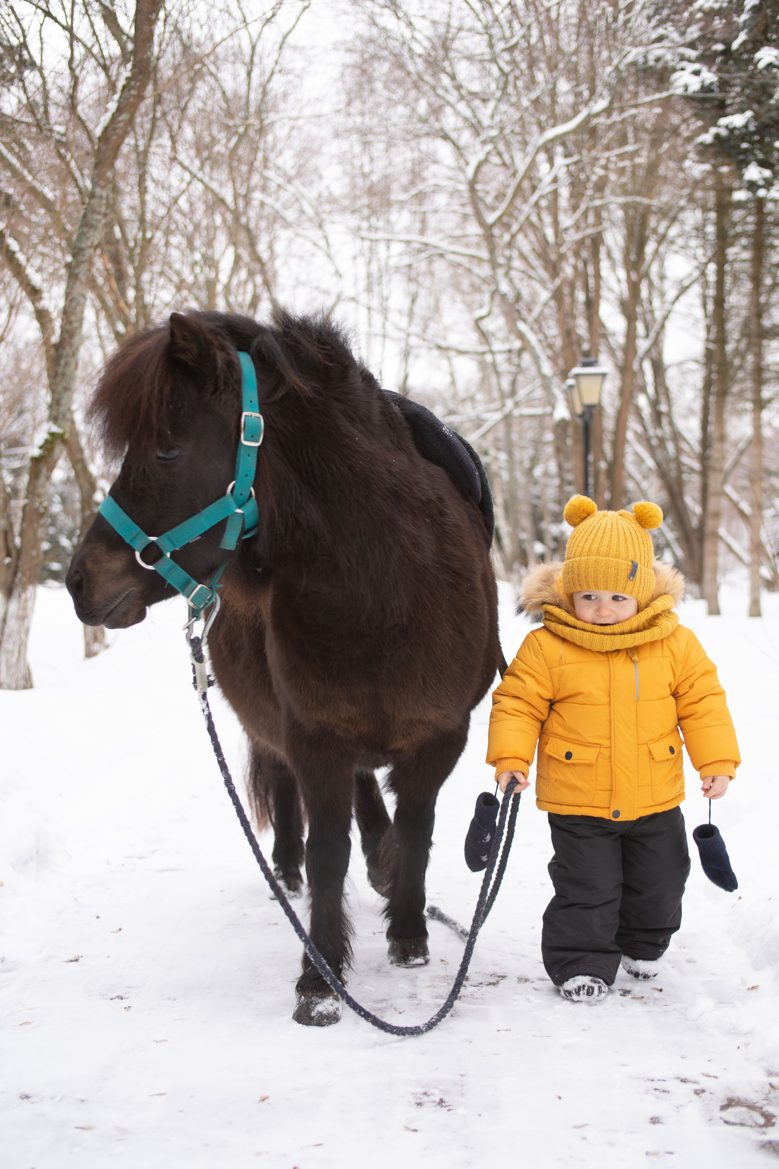 Семейная фотосессия. Фотограф в Калуге фотосессии с лошадьми в Калуге Грешнова Ольга