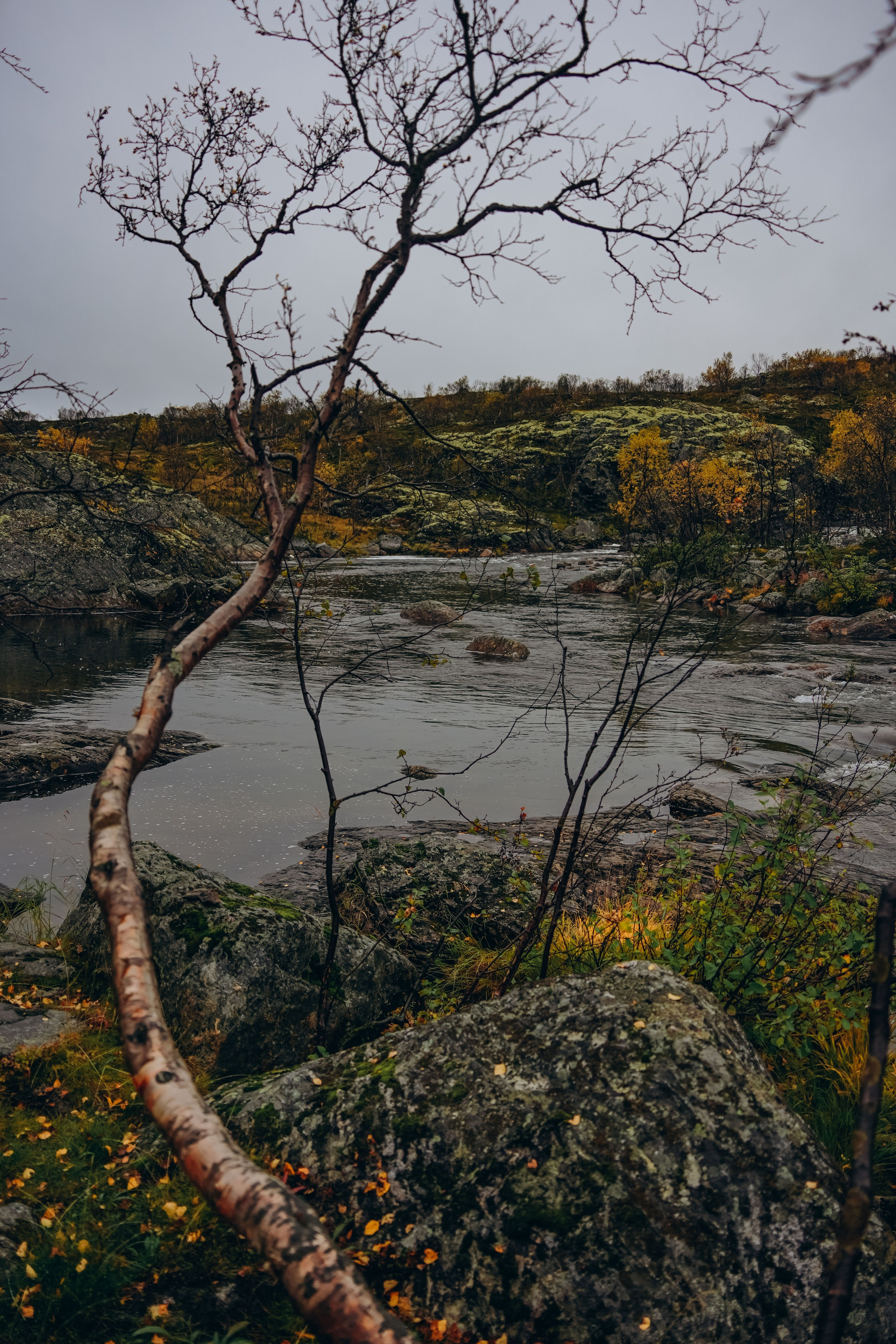 СЕВЕР. Event фотограф Степанова Александра