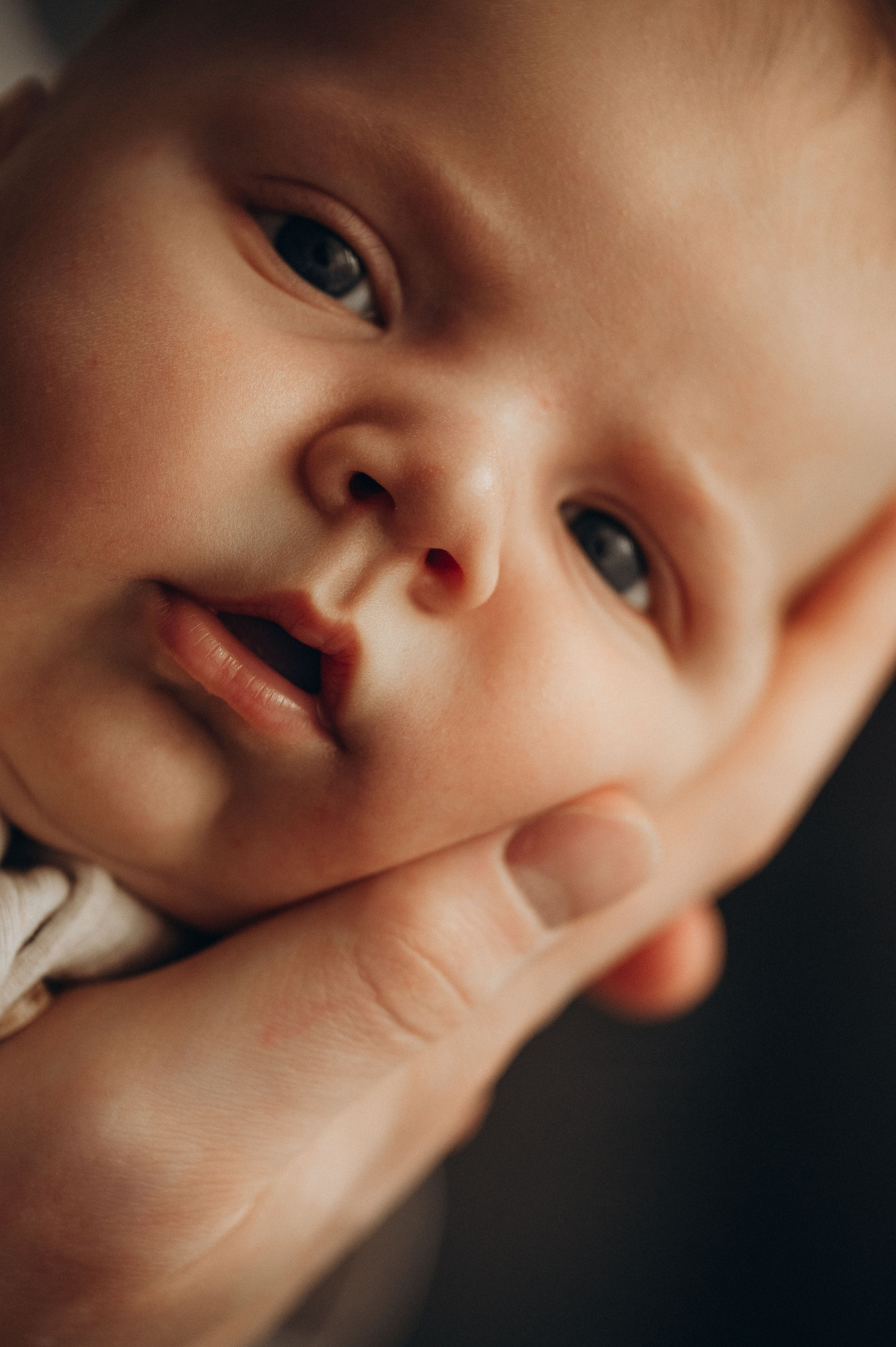 Иван, Ксения и Лев. Фотограф беременности и семьи, домашние съемки, Ньюборн