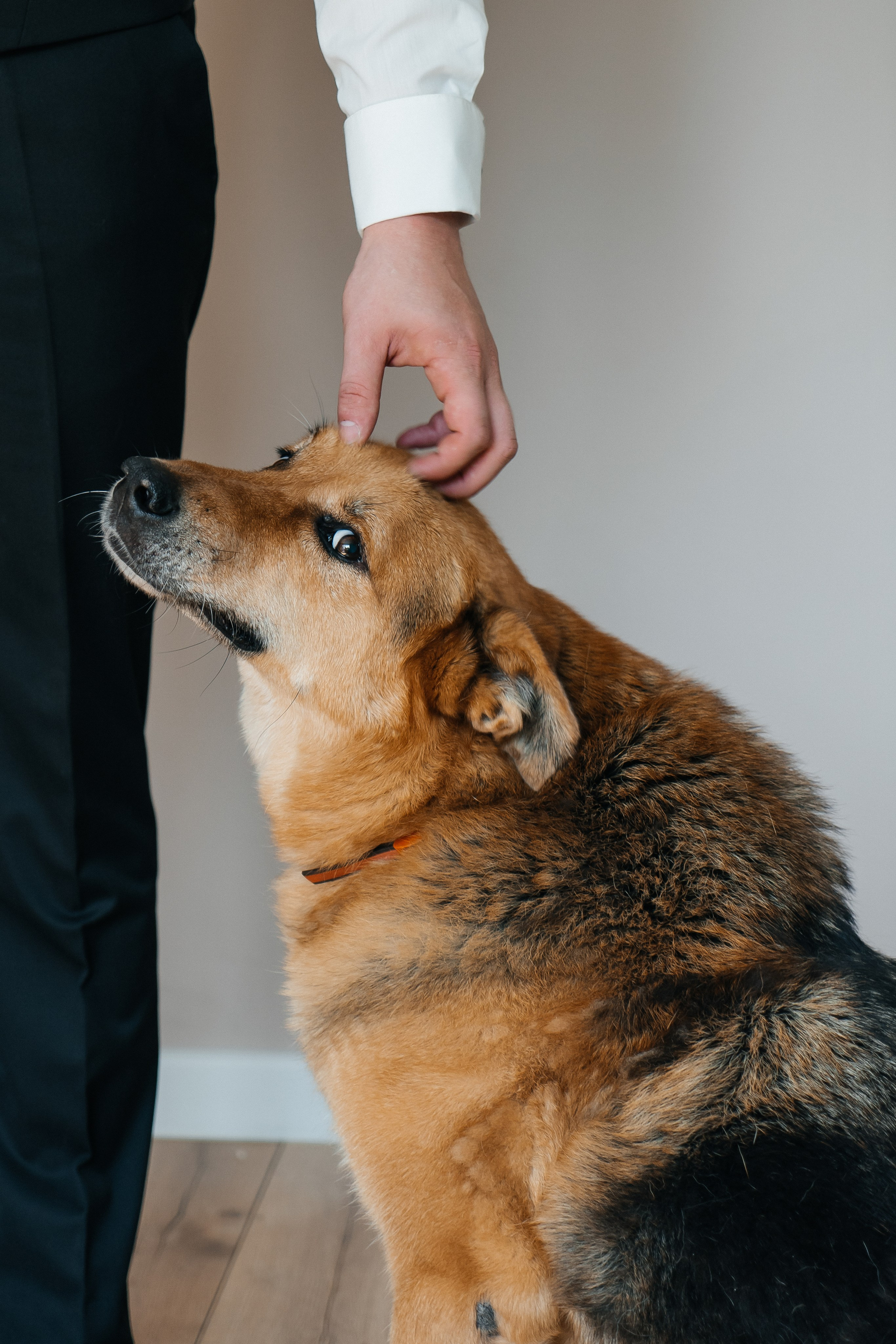 Свадебный фотограф Санкт-Петербург Дмитрий Казанцев