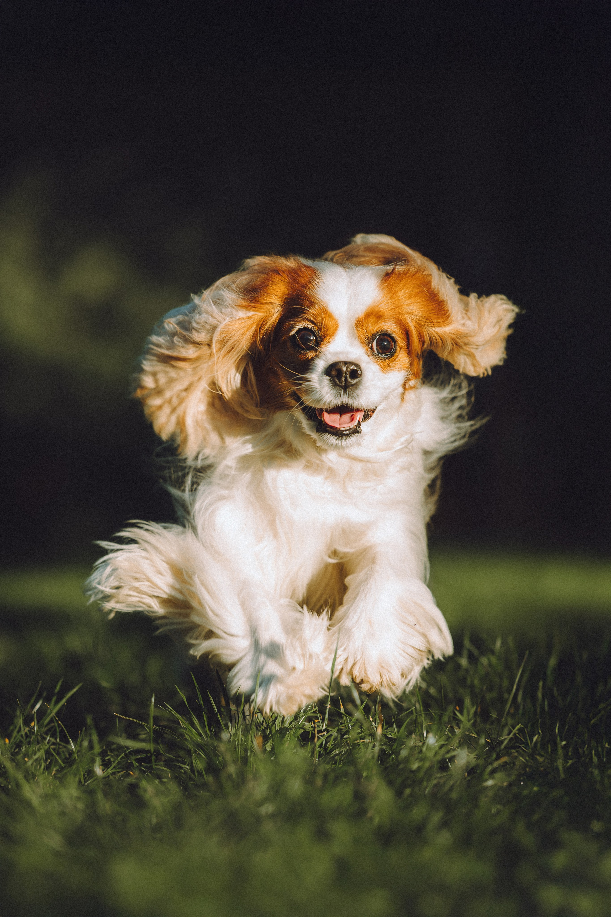 Наташа и Вики