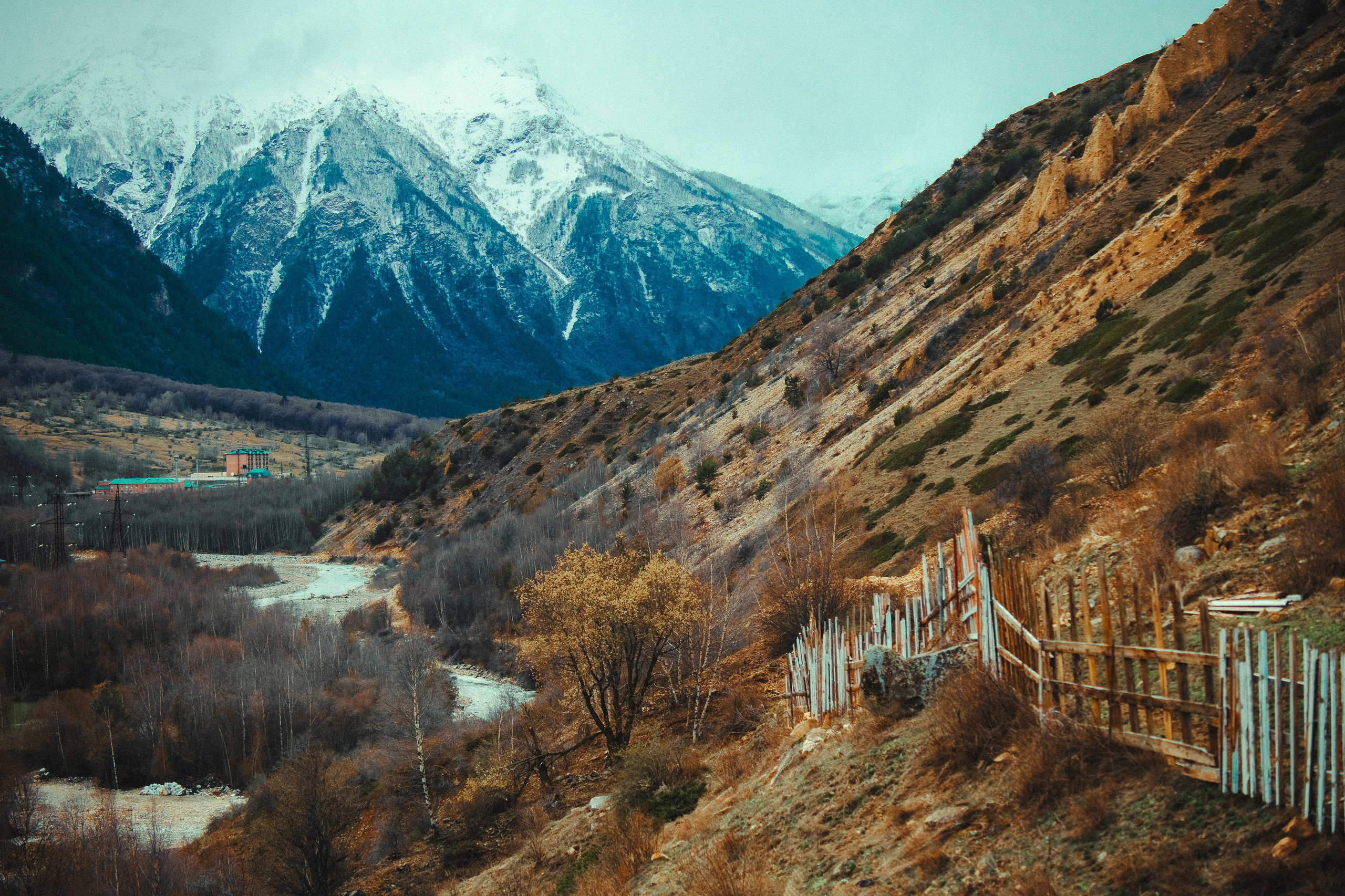 Цветные фотографии. Фотографии Лены Соколовой