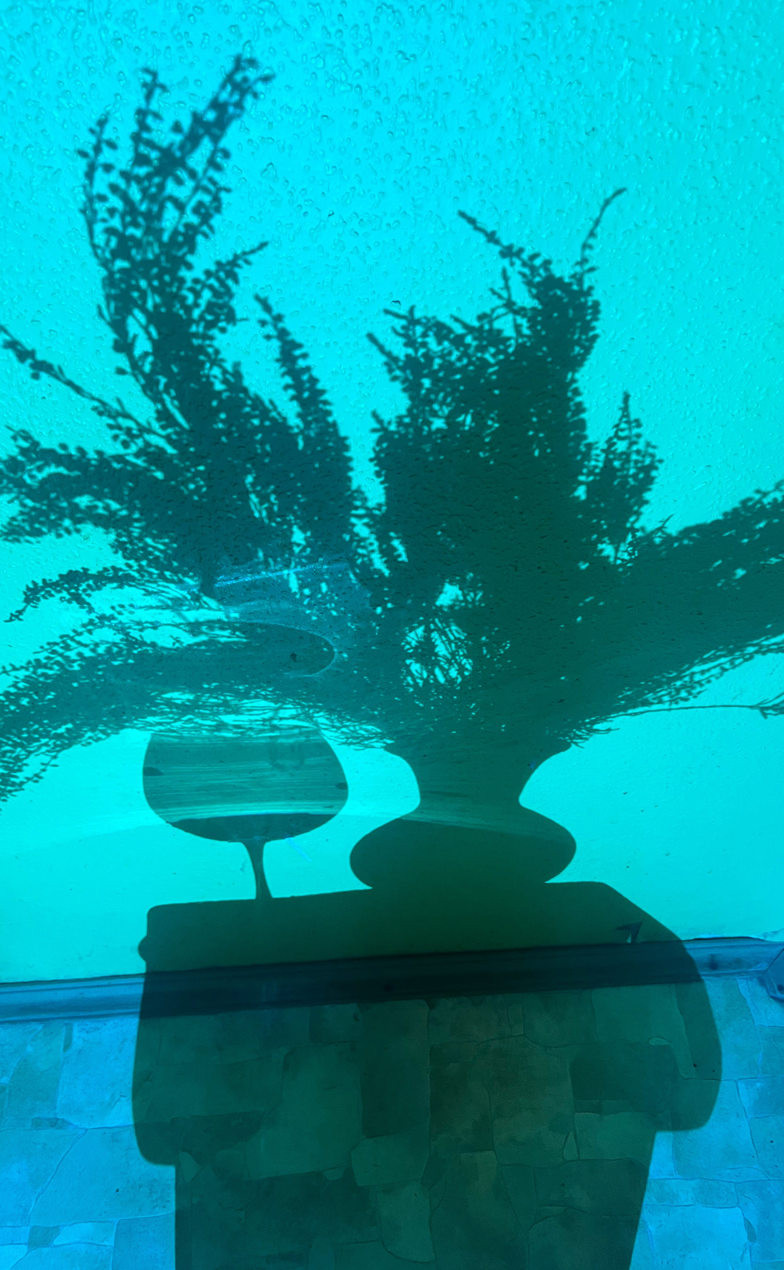 Курс «БОЛЬШОЙ И ГРОМКИЙ!». Университет по фотографии Игоря Мальцева