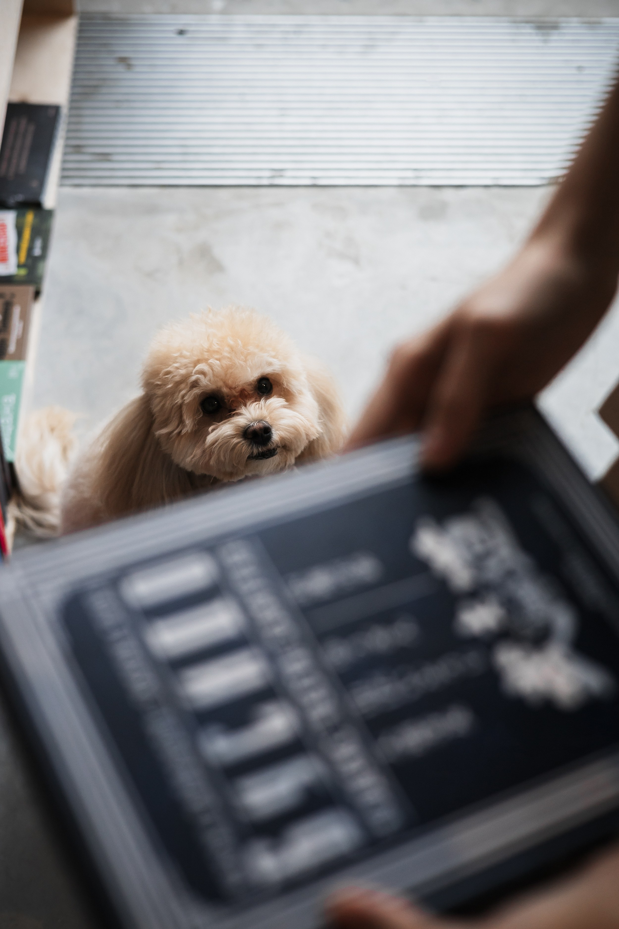 Алина — прогулка