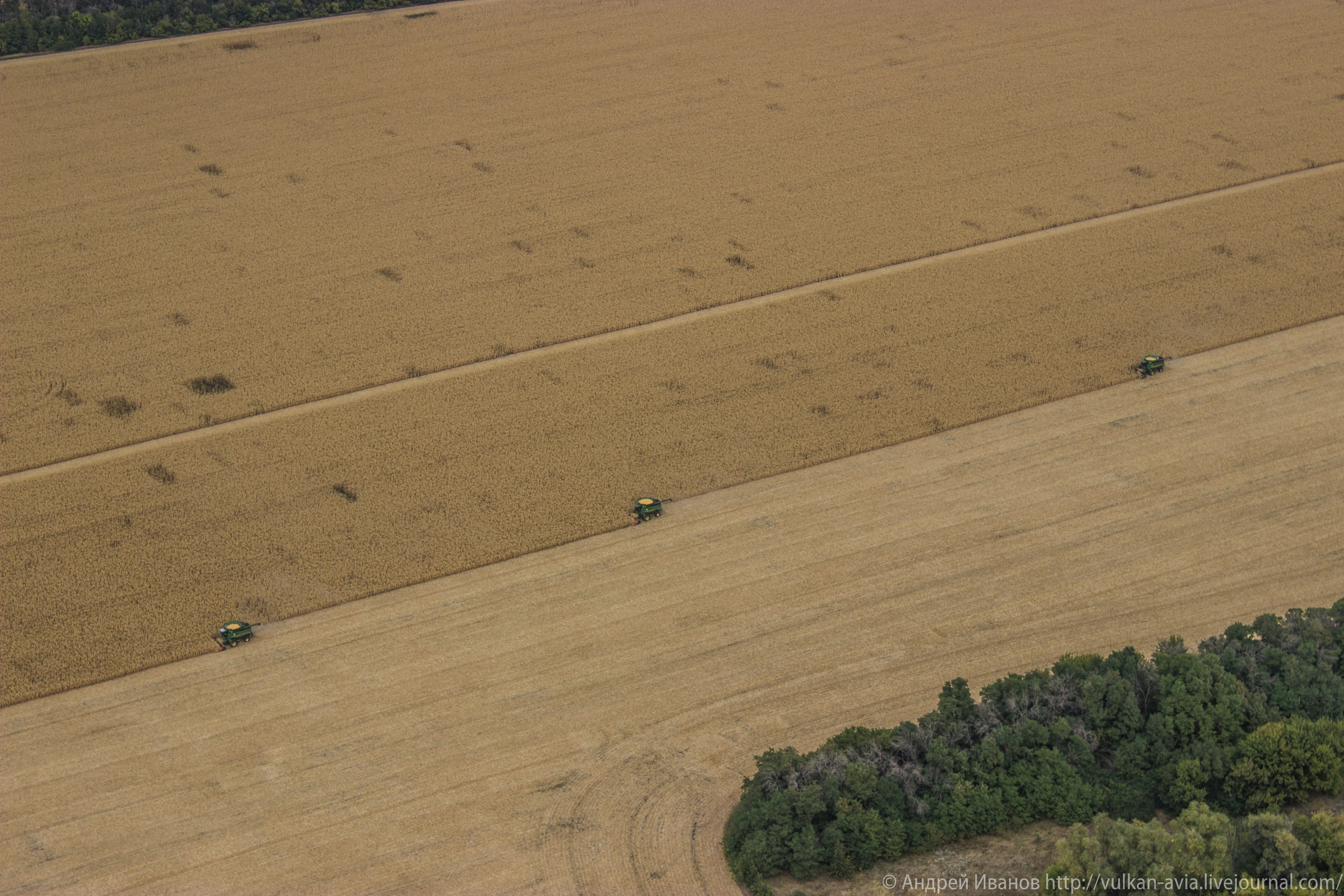 Волгодонск аэр. Потапов слёт «Небо для всех» (2021 г.). Фотоальбом показывающий увлекательный мир авиации и мир медведей Андрея Иванова