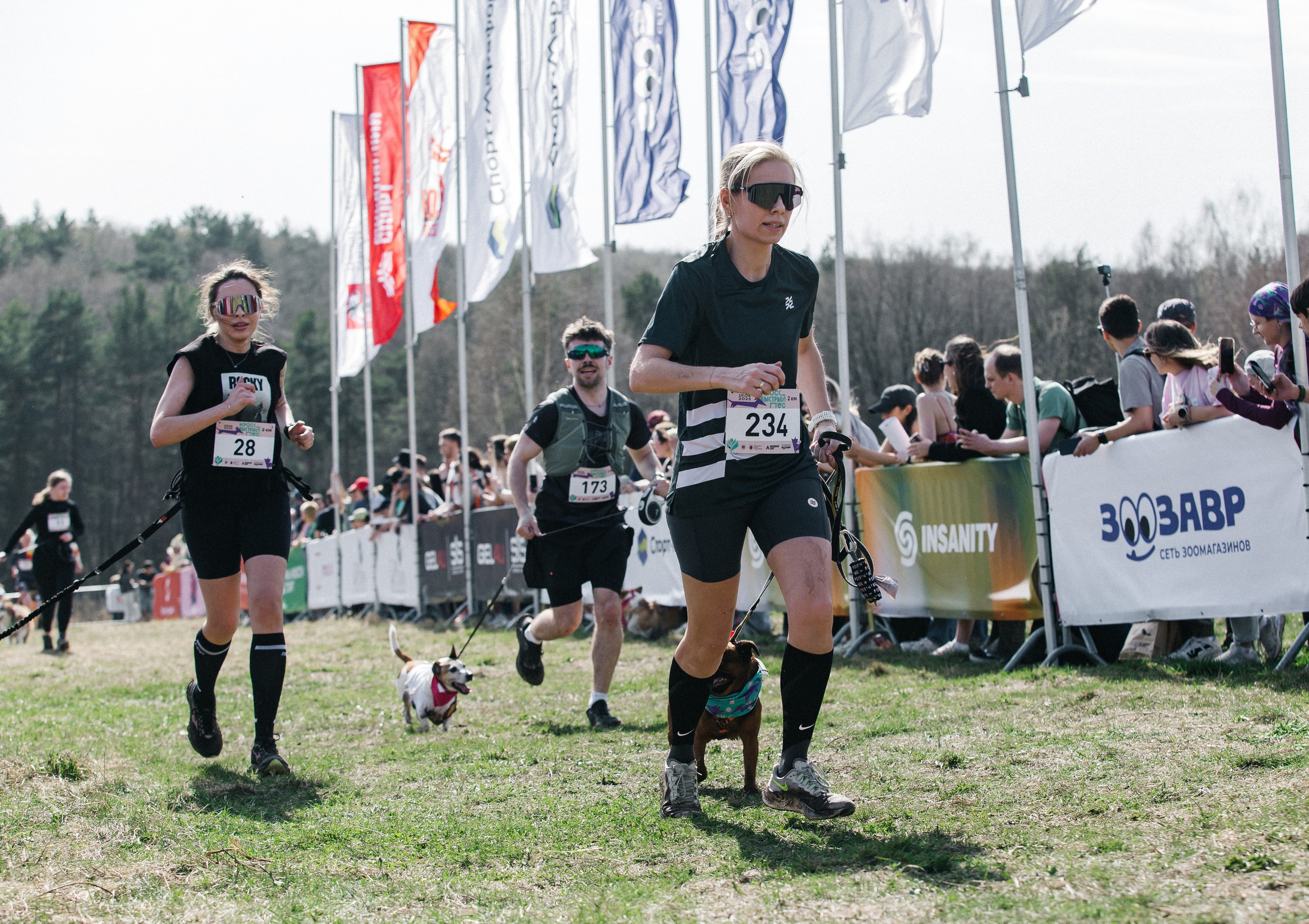 Кросс «Быстрый пёс» 2025. Репортажный фотограф в Москве