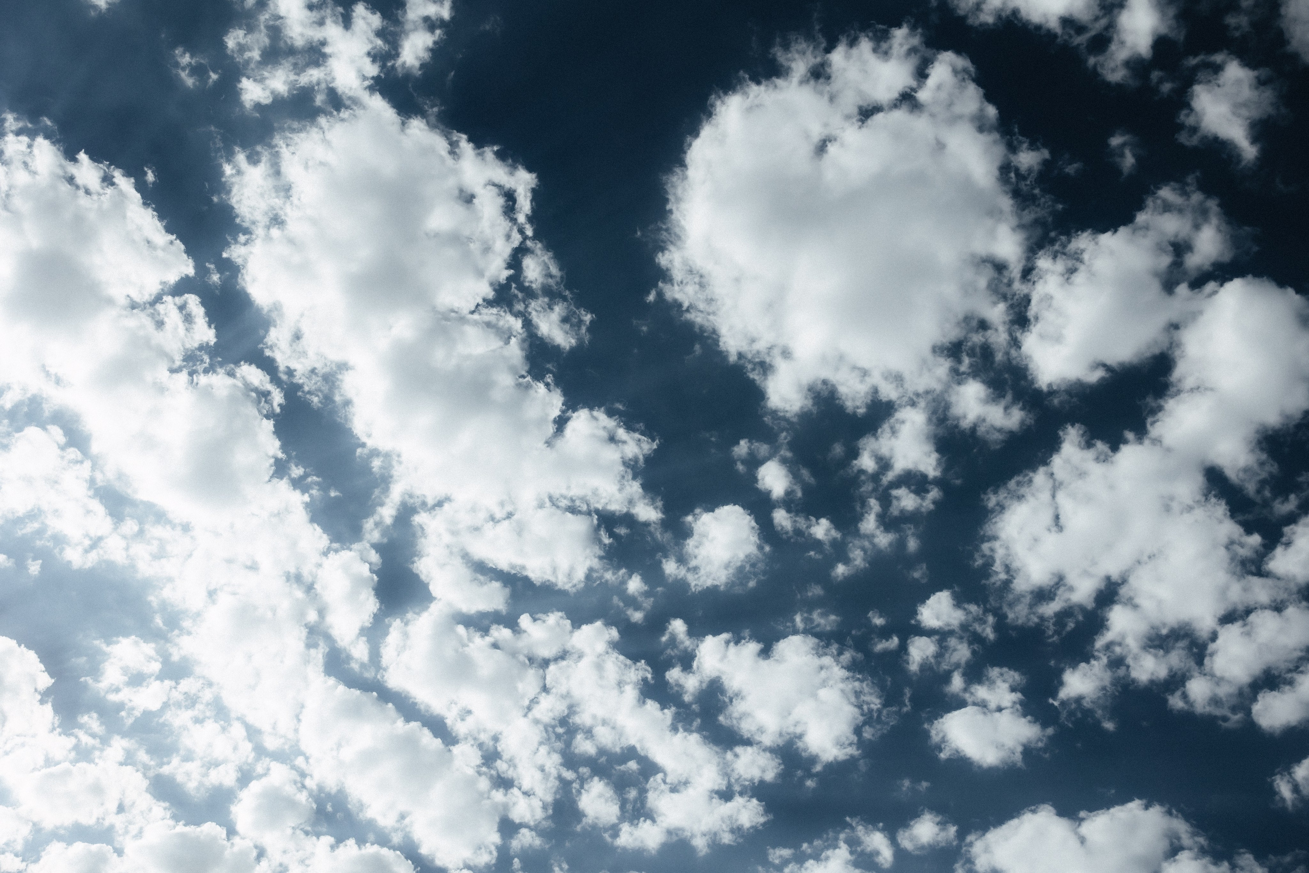 Ирина и Александр. Алена Бадамшина — свадебный фотограф Воронеж / Москва