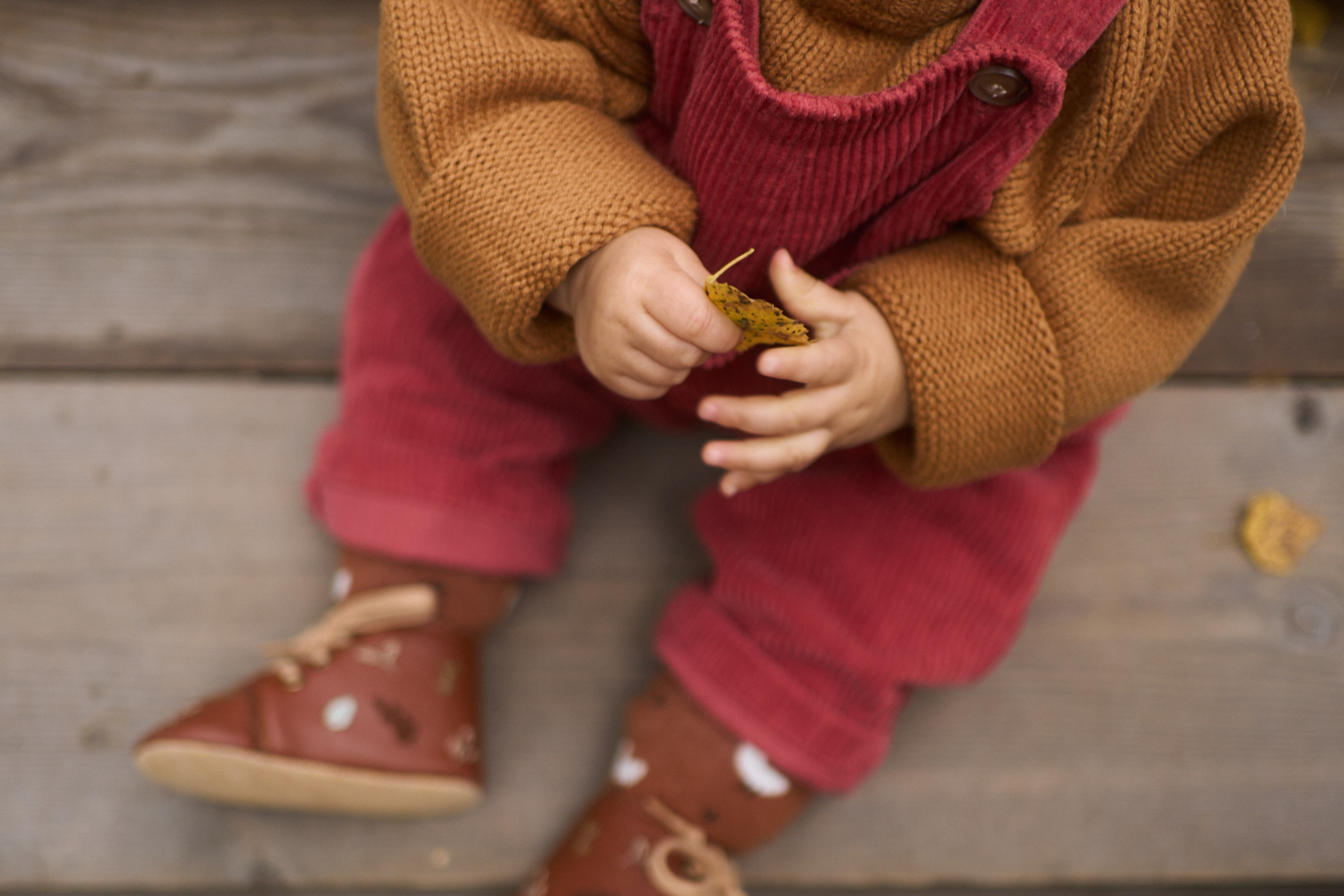 Первые шаги. Фотограф анималист Москва Дарья