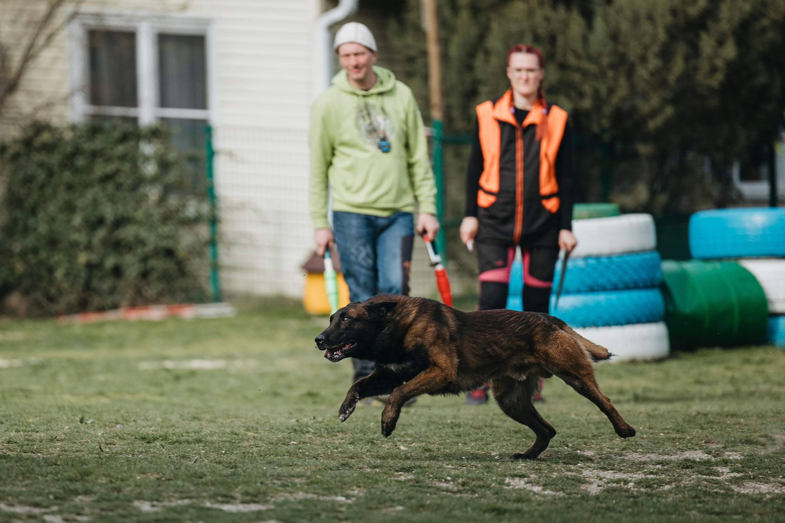 Геленджик Мондьоринг. Фотограф-анималист Анна Маринич