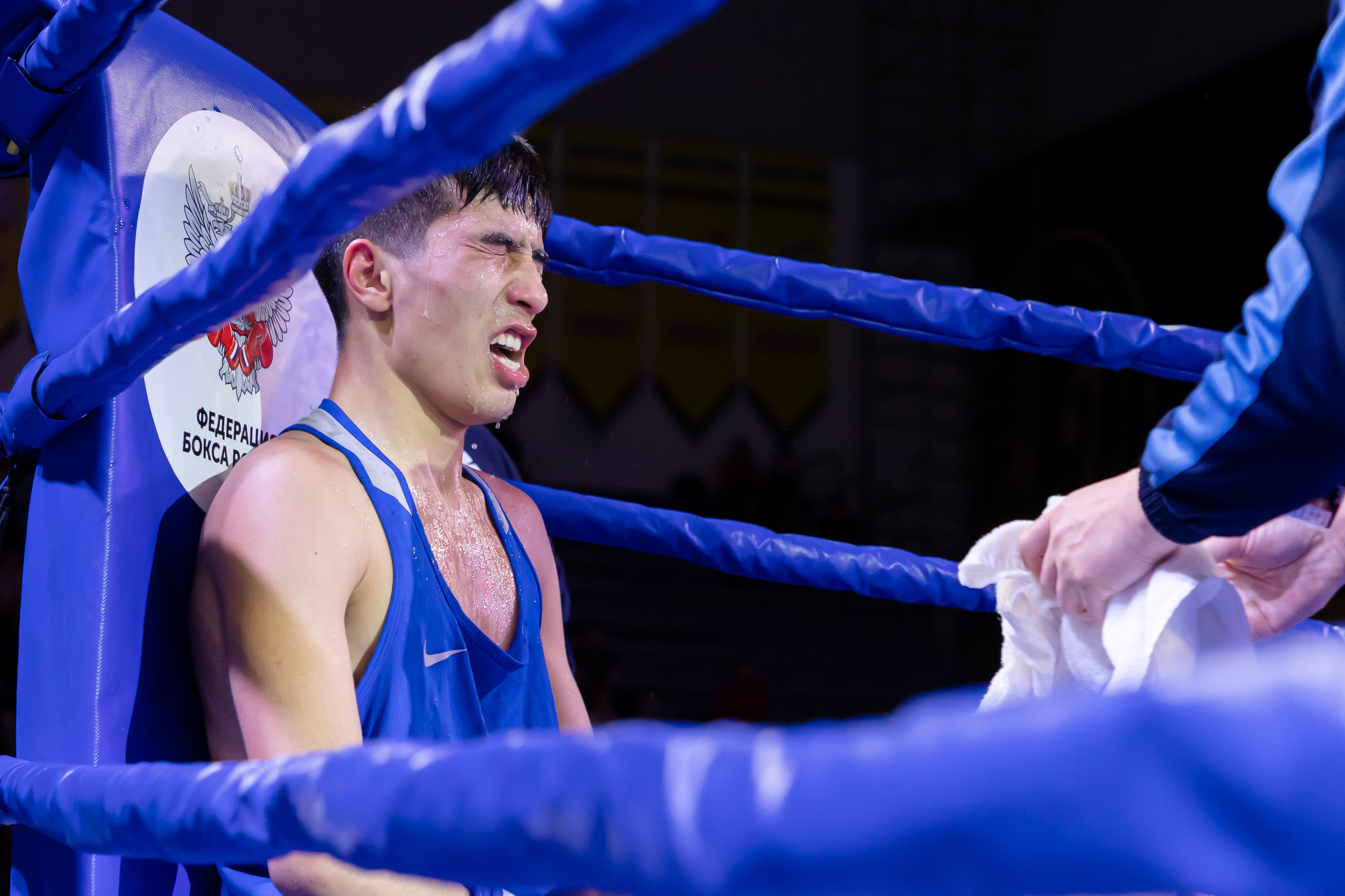 Бокс. Репортажный фотограф Александр Чусь