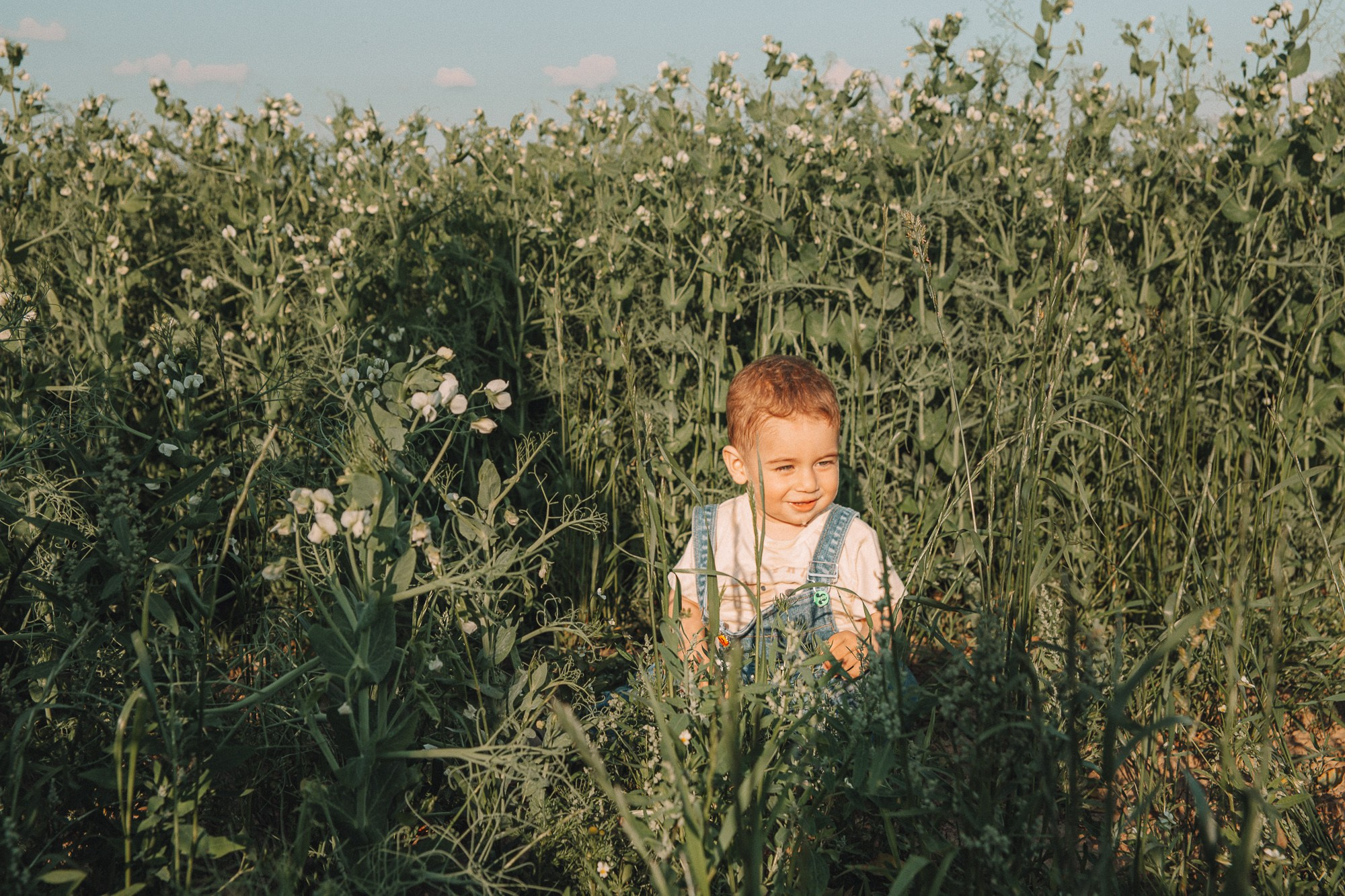Ваграм, Моника и дети. Семейный вечер в поле. Детский и семейный фотограф в Твери Анастасия Соловьева