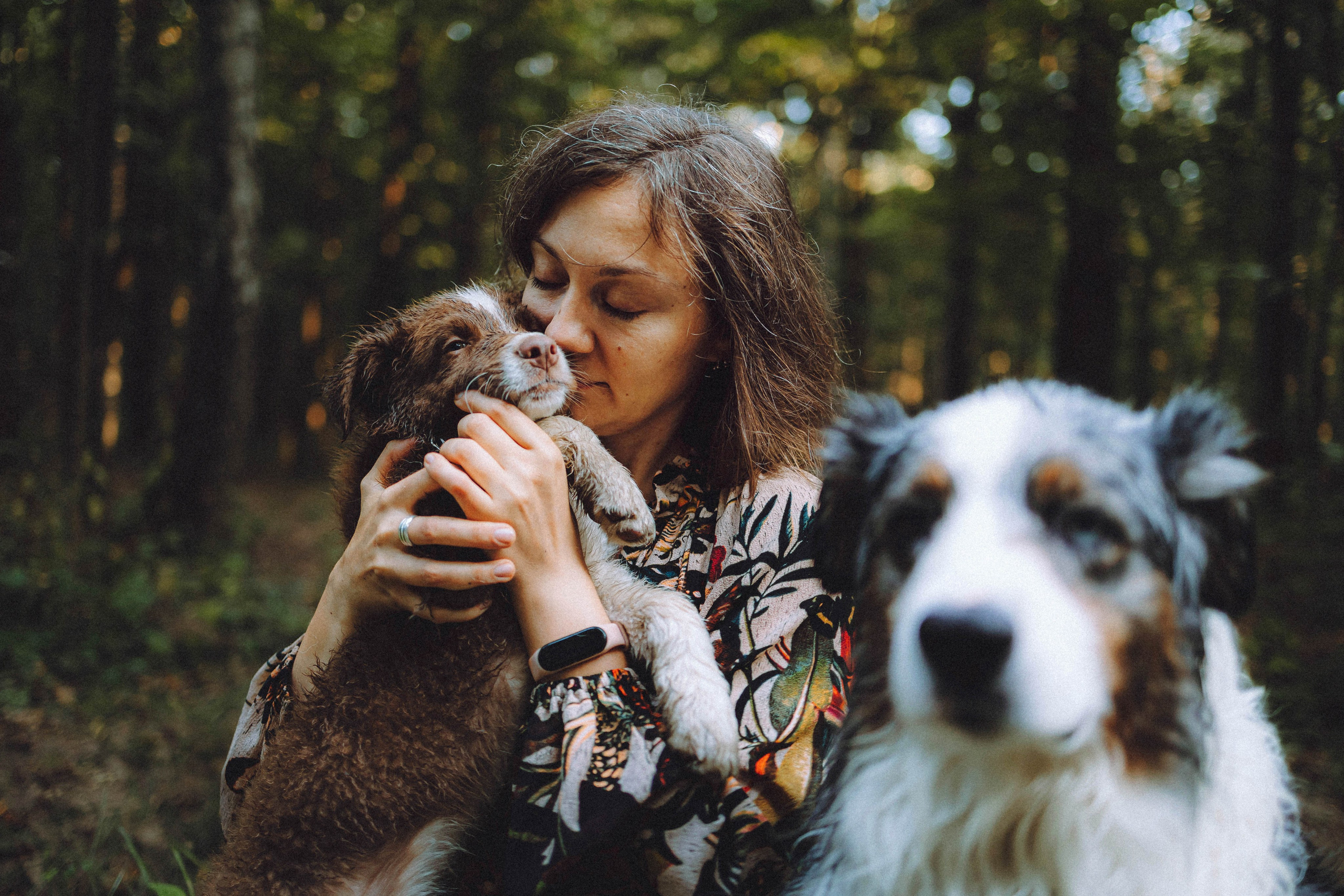 Лена, Принц и Фенек