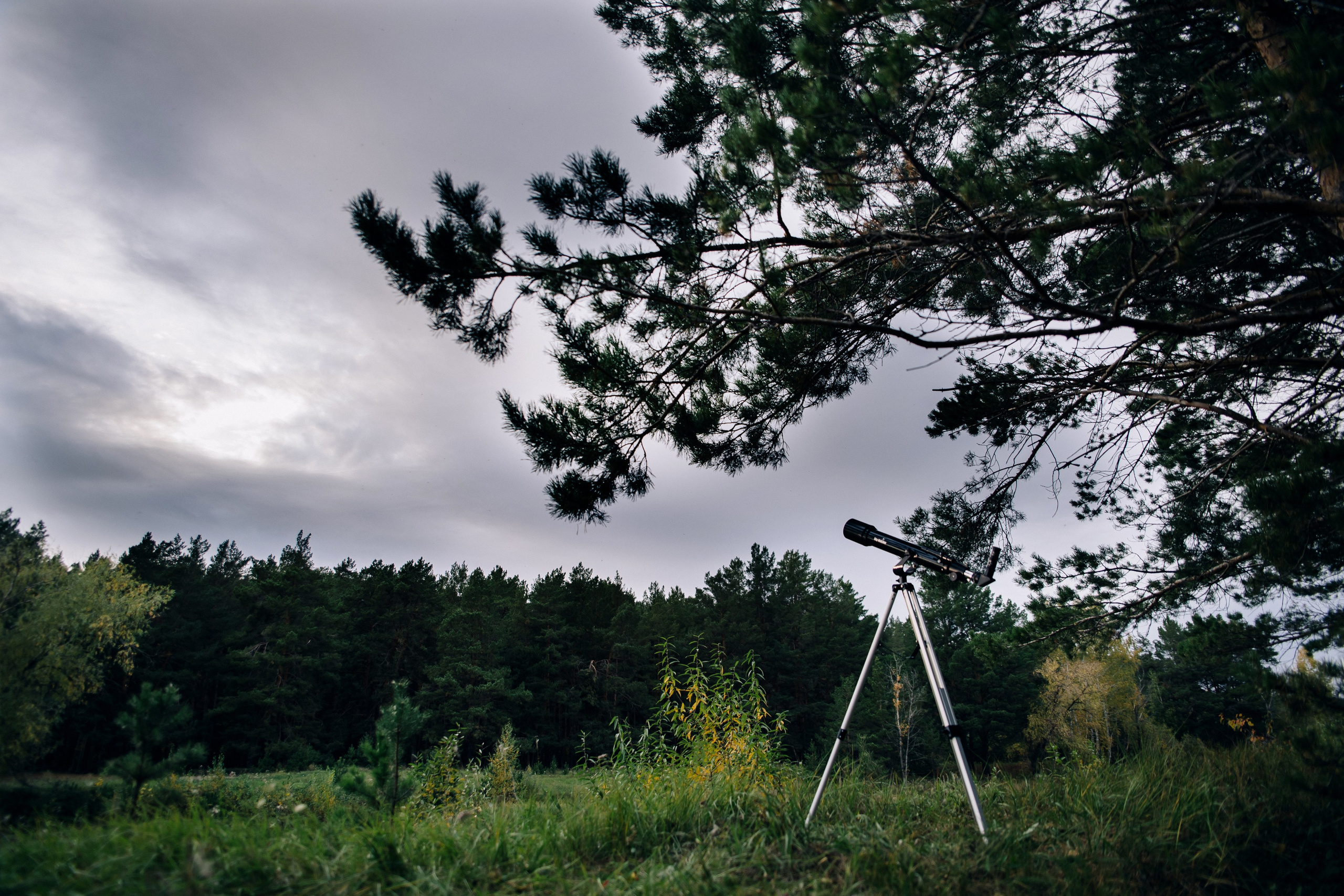Наталья. Фотограф — МАРИЯ МЕДВЕДЕВА