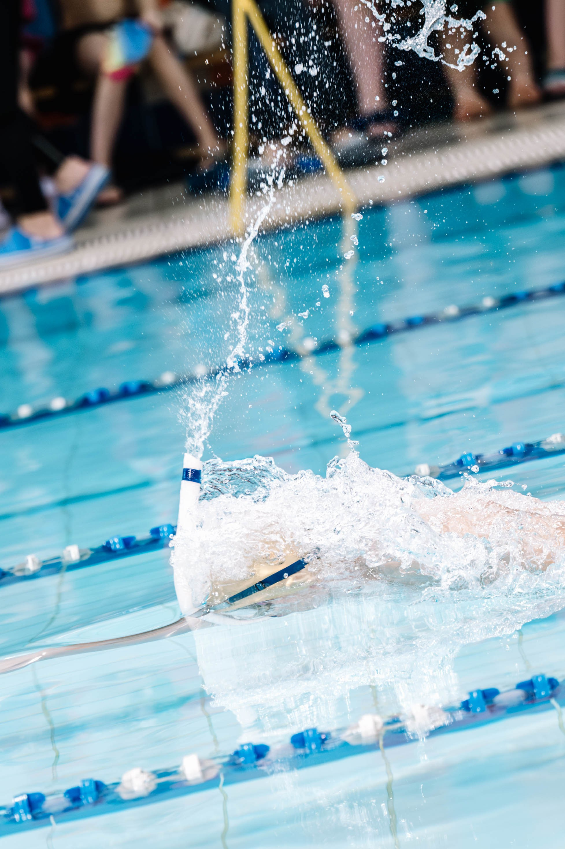 Второй этап кубка плавания ШК Дельфин. Декабрь 2024. Спортивный фотограф в Туле и Тульской области. Файсханова Фото Спорт