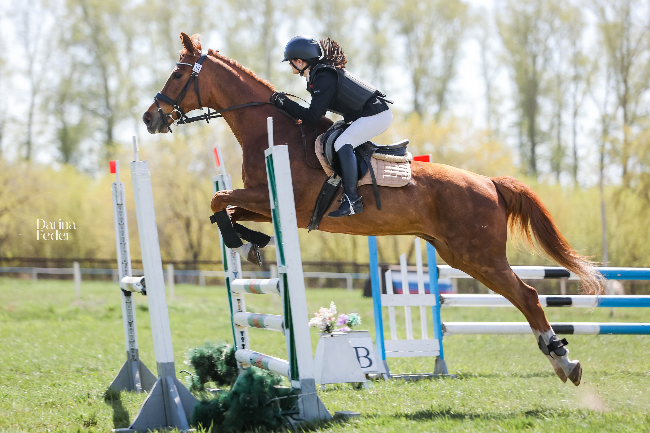 Репортаж соревнований. Главная