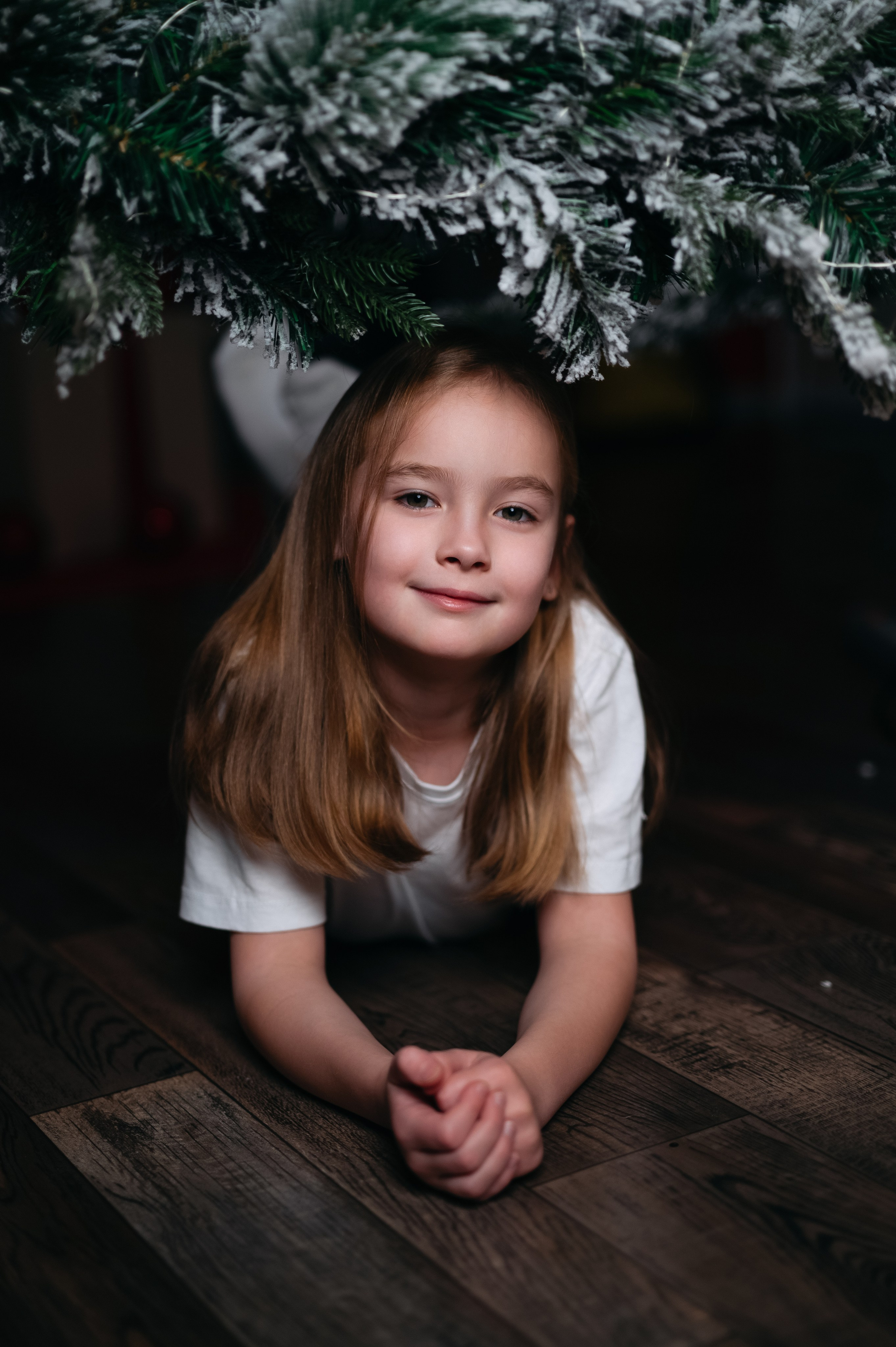 Новый год 2024-25. Ваш фотограф в г. Петропавловске-Камчатском Арина Алексеева