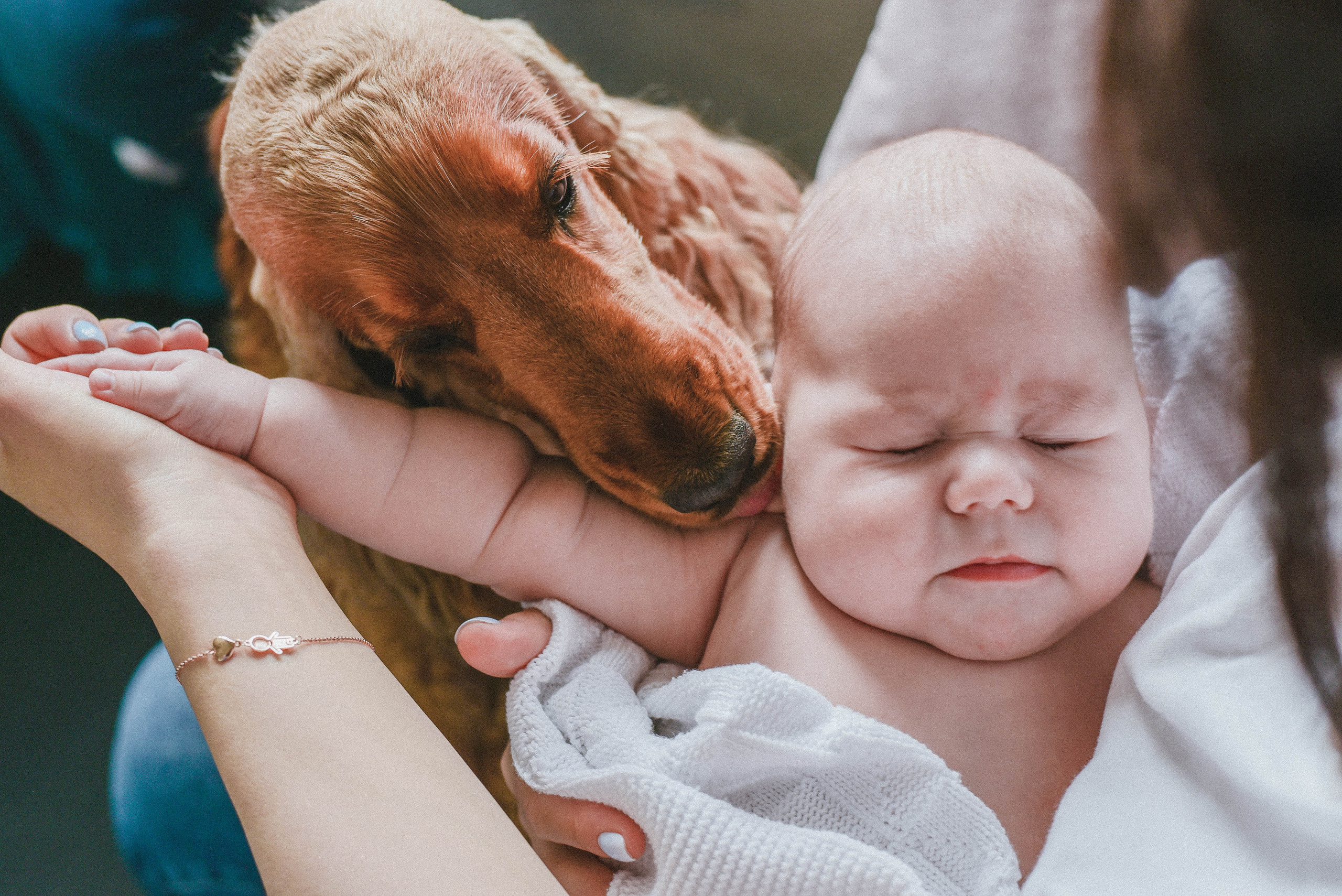ДОМАШНИЕ СЪЁМКИ. Семейный и женский фотограф в Москве Доминова Елена
