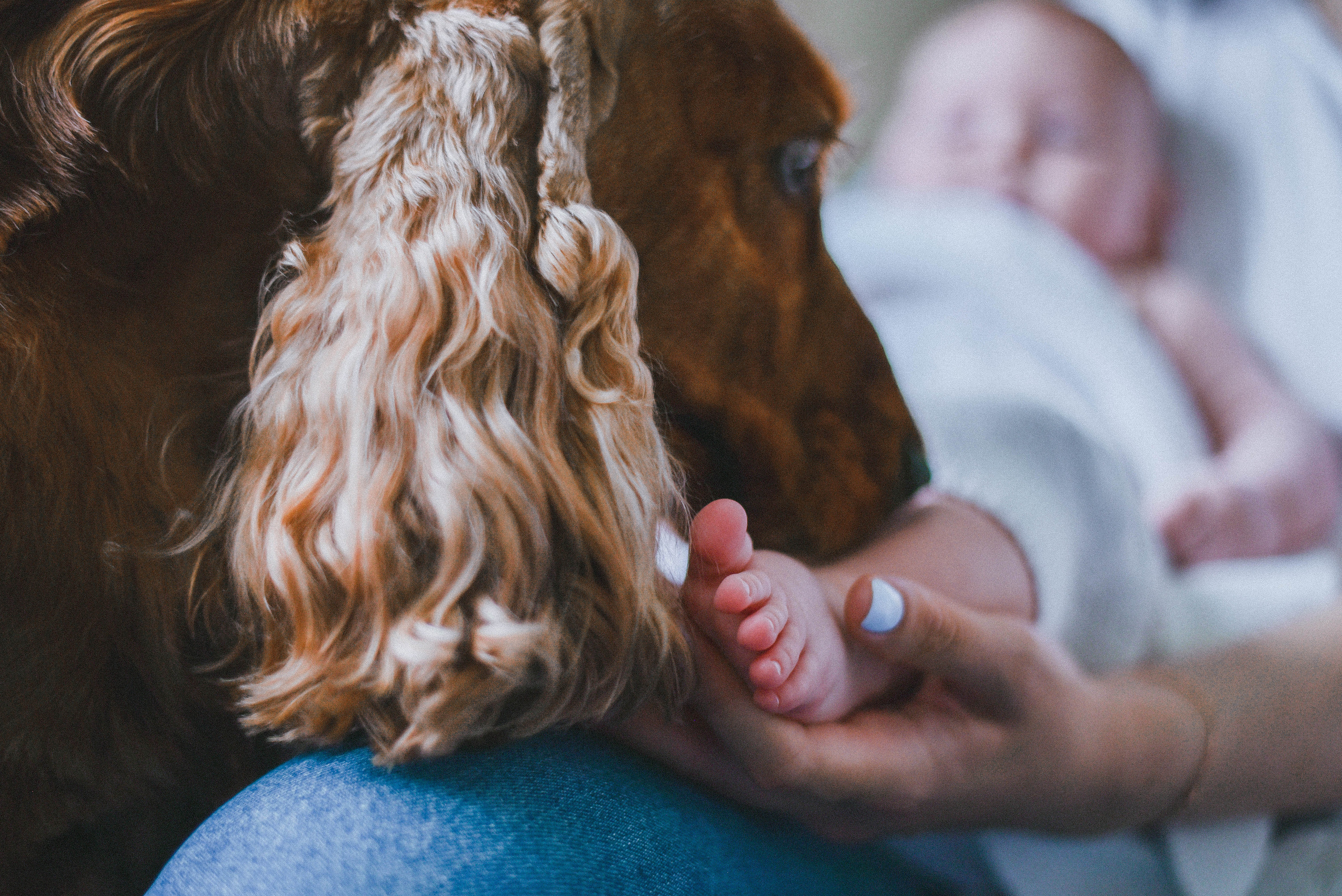 ДОМАШНИЕ СЪЁМКИ. Семейный и женский фотограф в Москве Доминова Елена