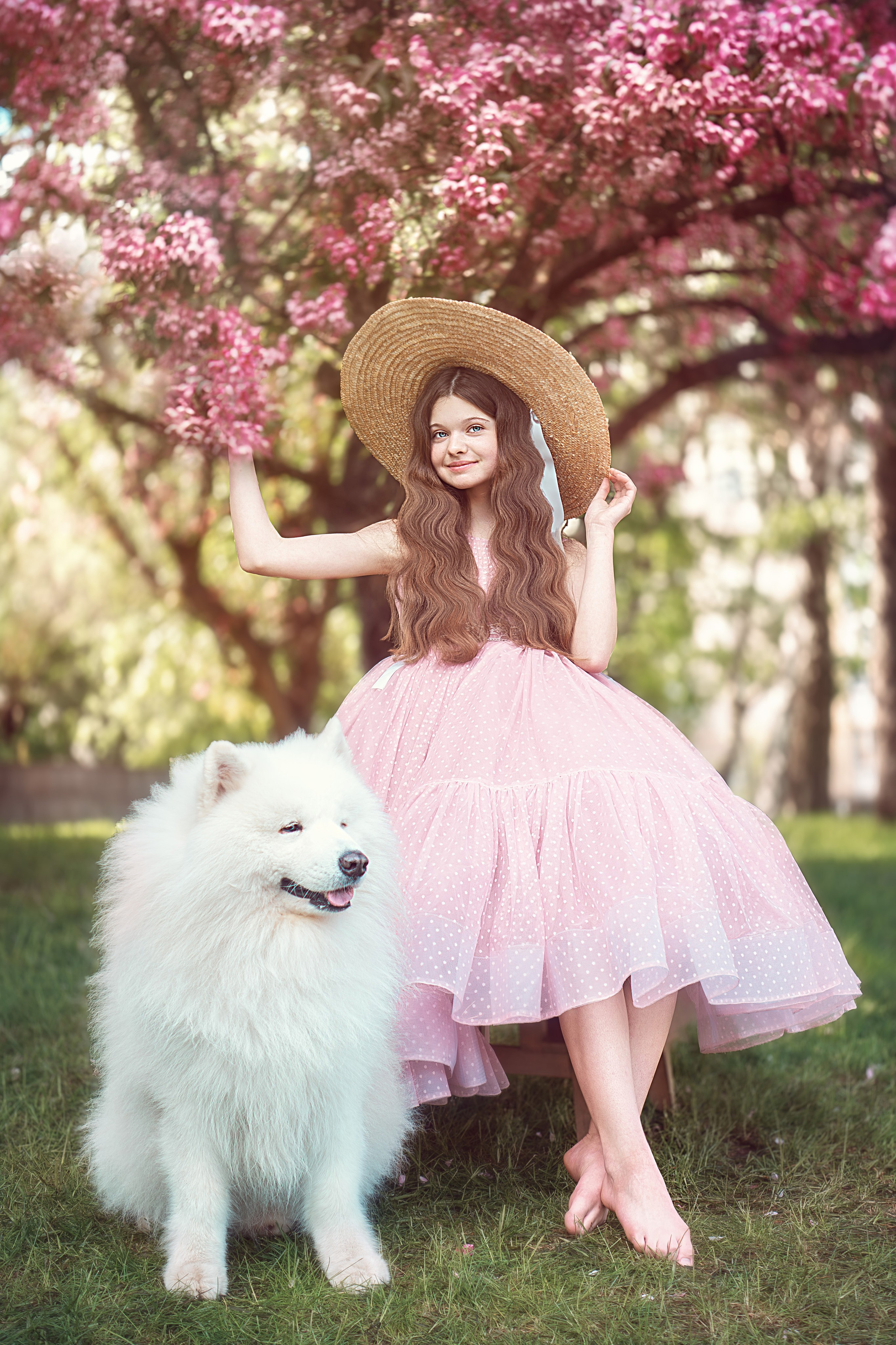 Фотосессия с собаками