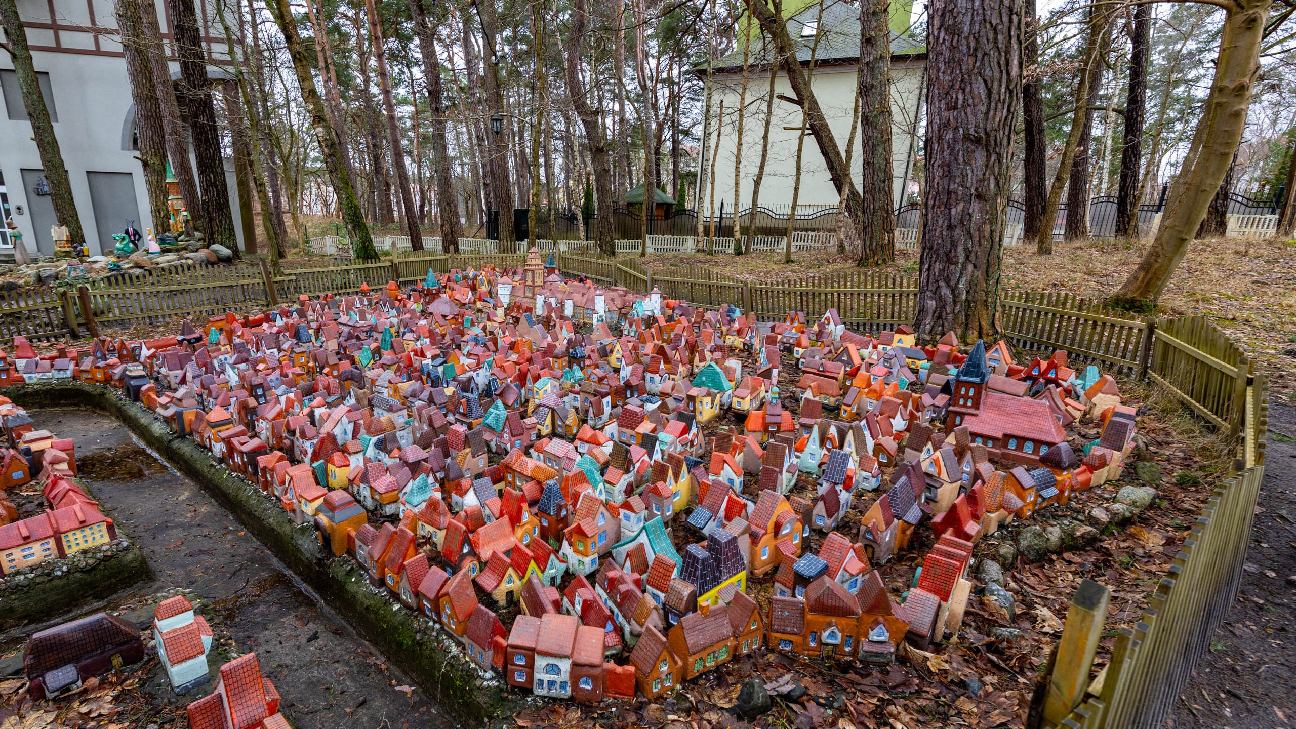 2024 01 Калининград (Светлогорск, Зеленоградск). Фотографии