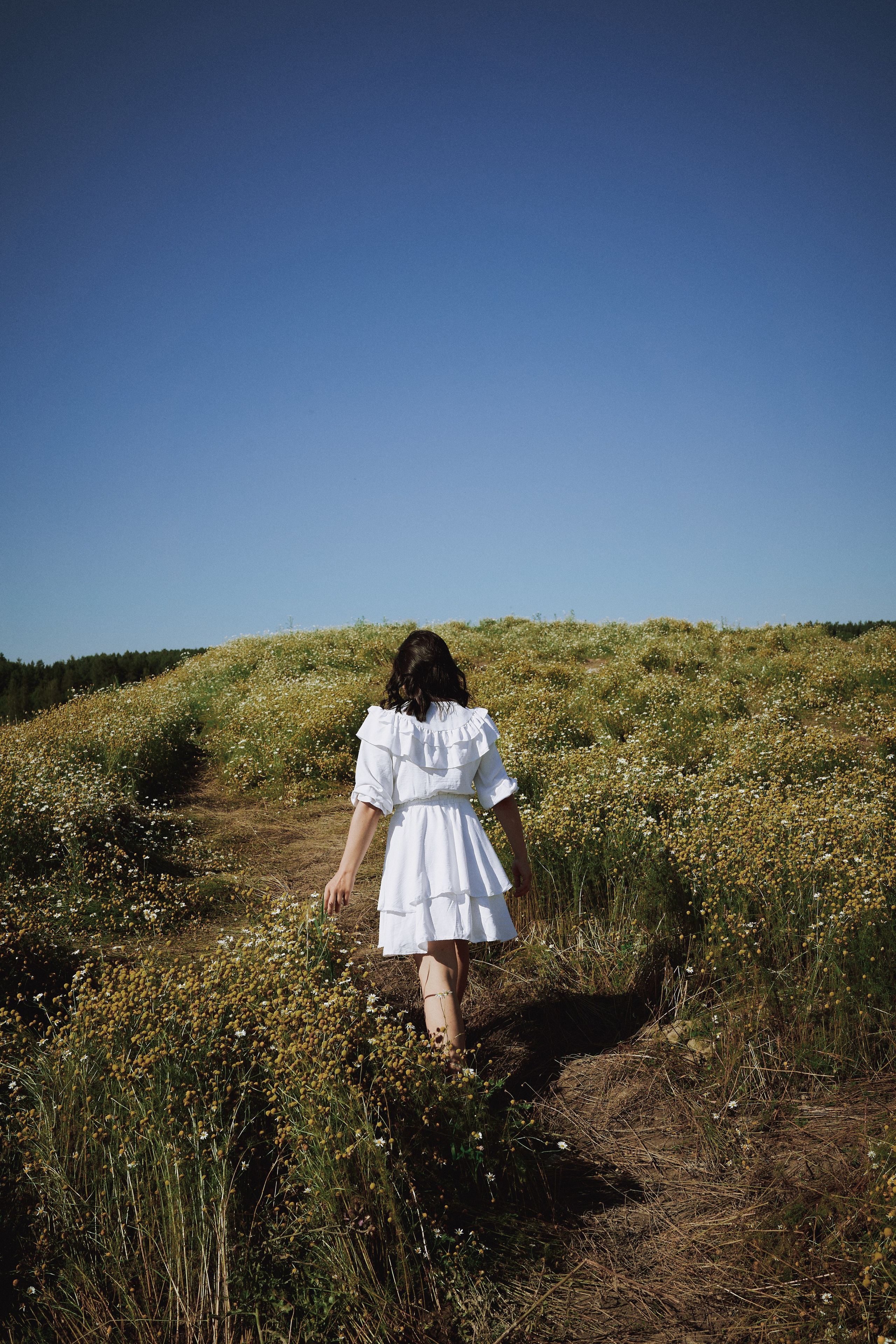Поле с ромашками. Фотограф в Санкт-Петербурге | Аня Маленчук