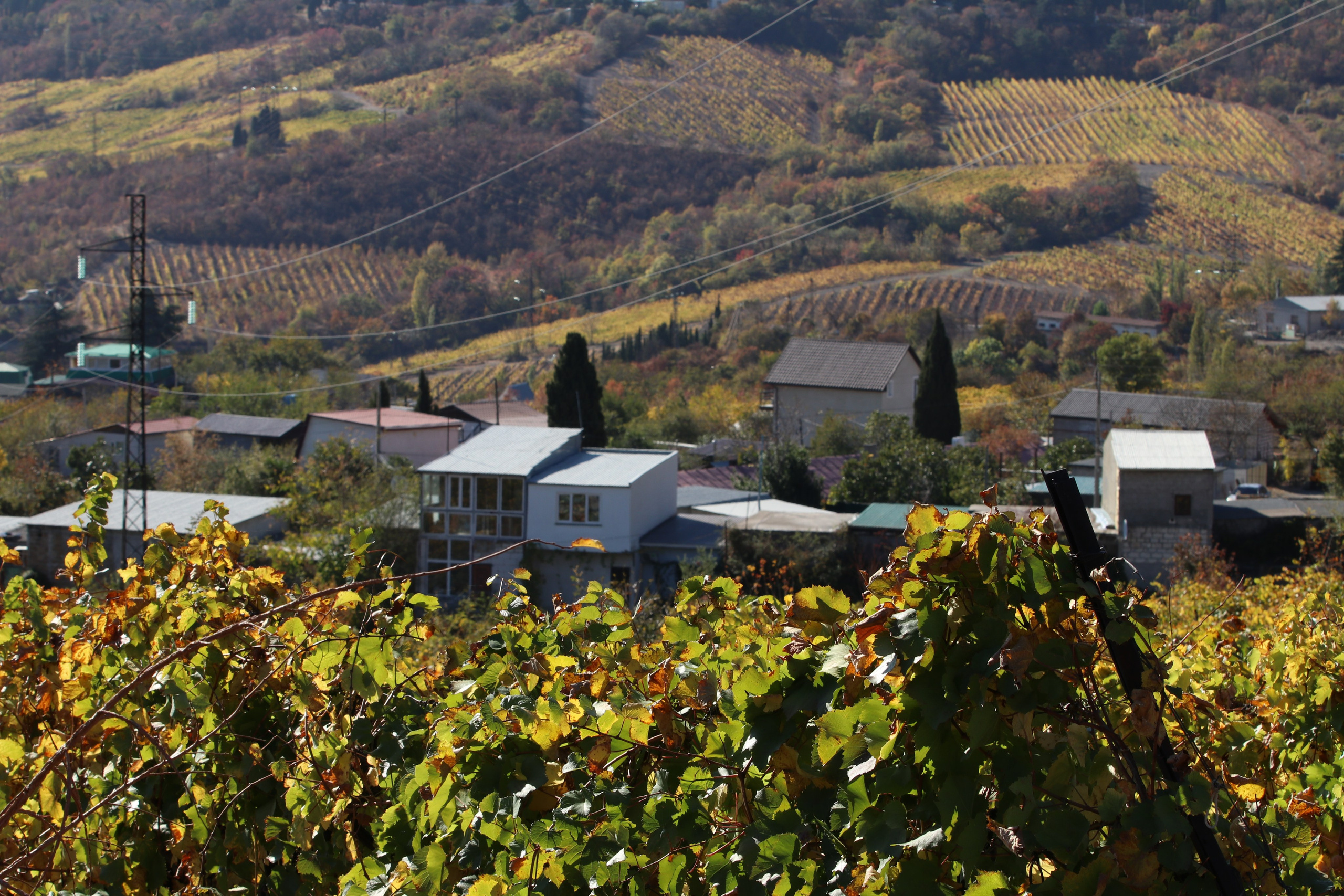 Крым. ЮБК (Гурзуф, Судак и их окрестности). Ноябрь 2023. Путешественник-фотограф из Санкт-Петербурга Татьяна Свистулина