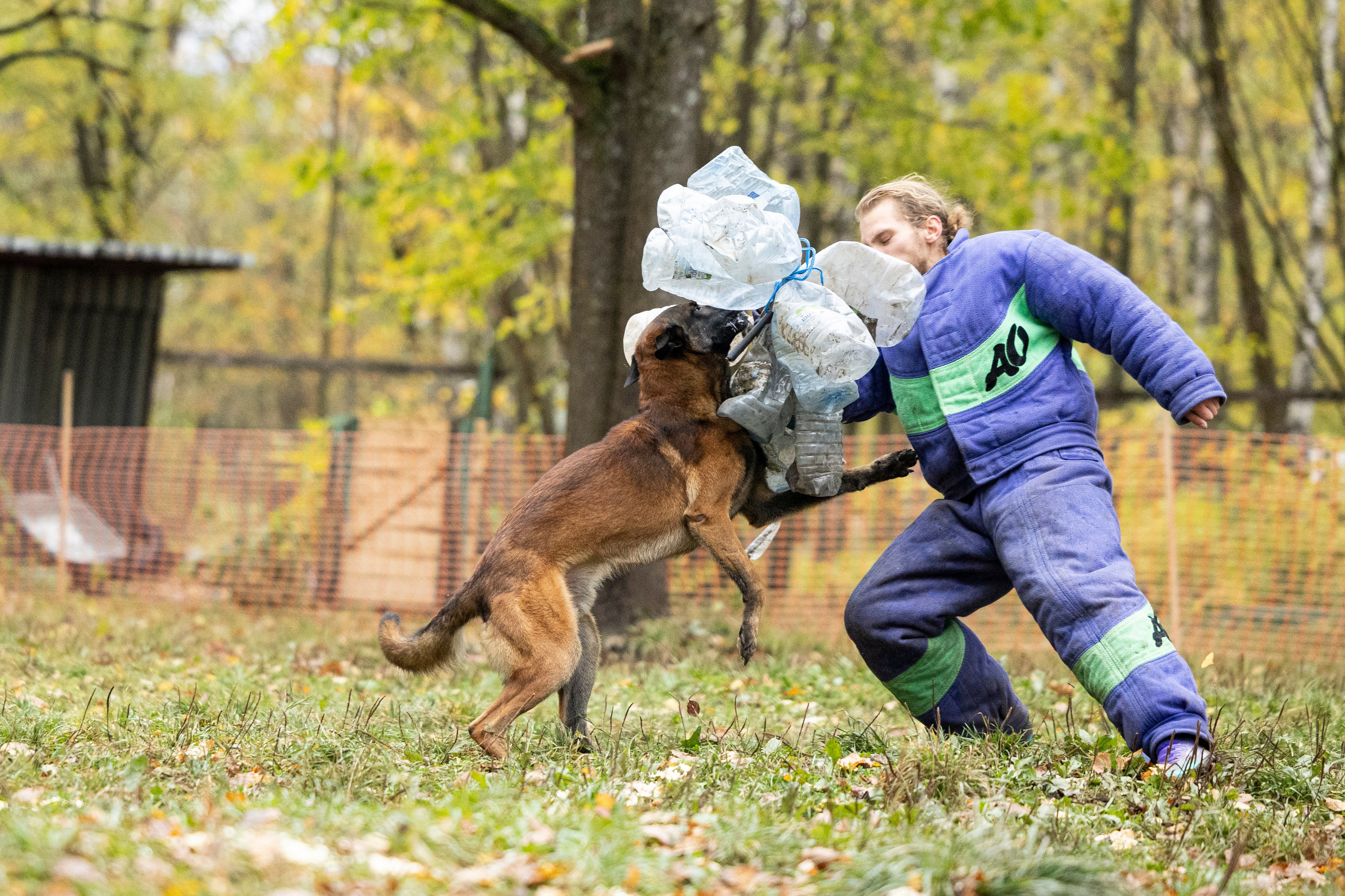 Соревнования по Мондьорингу г. Вологда. Фотограф-анималист Анна Маринич