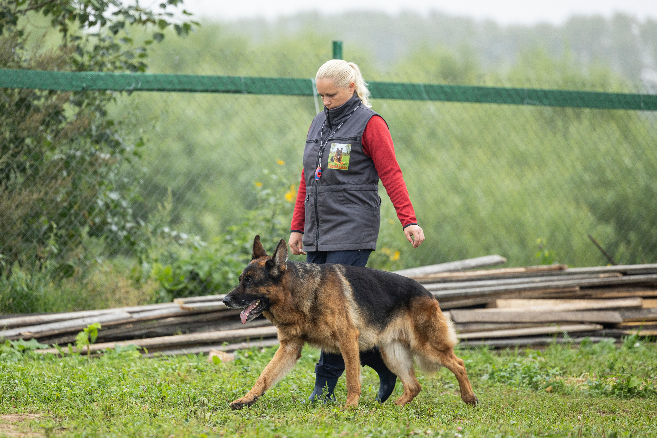 Соревнования по Мондьорингу г. Вологда 10-11.08.2024. Фотограф-анималист Анна Маринич