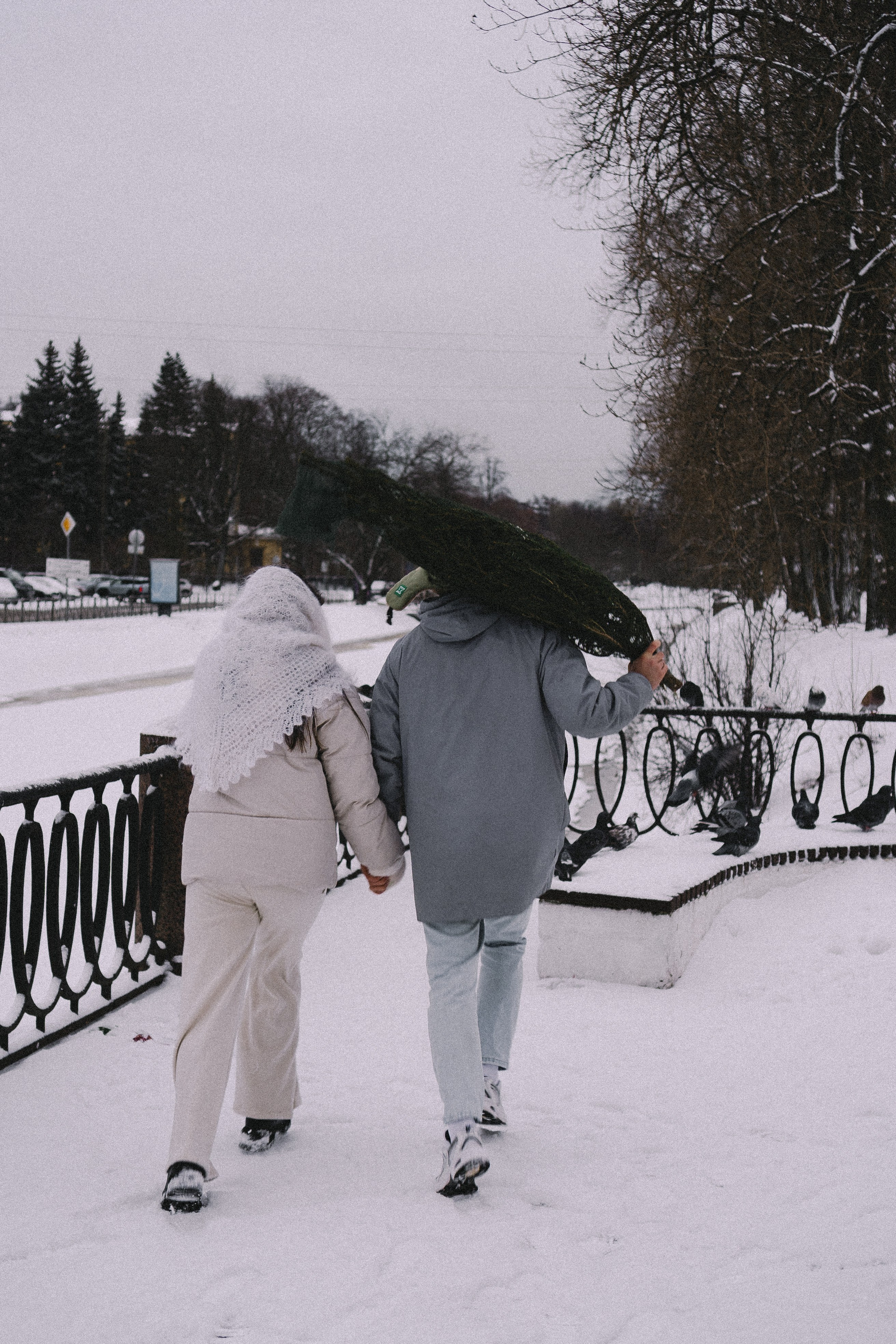 Зимняя история. Профессиональный фотограф, Санкт-Петербург — Виктория Богомолова