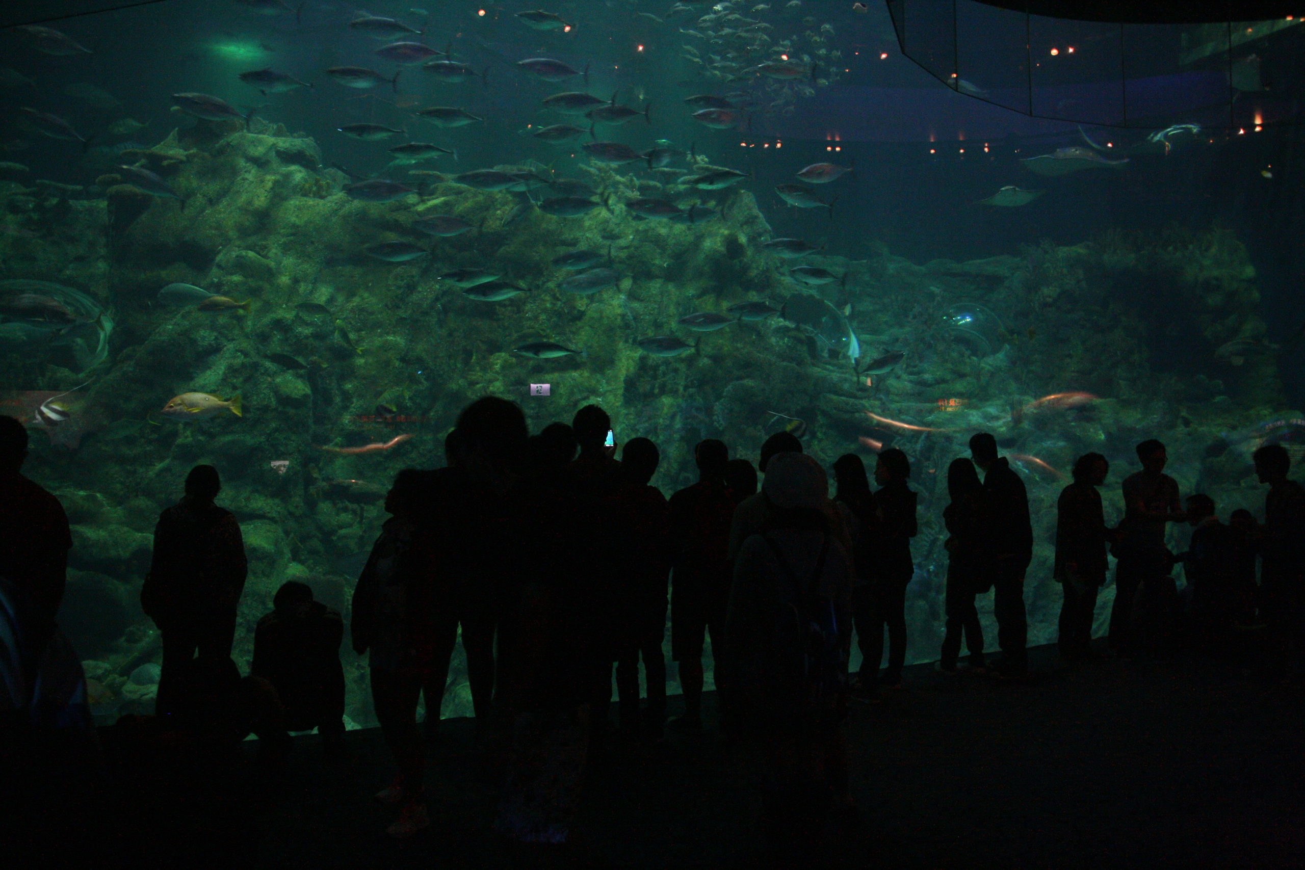 Гонконг. Фотограф Алексей Федорищев