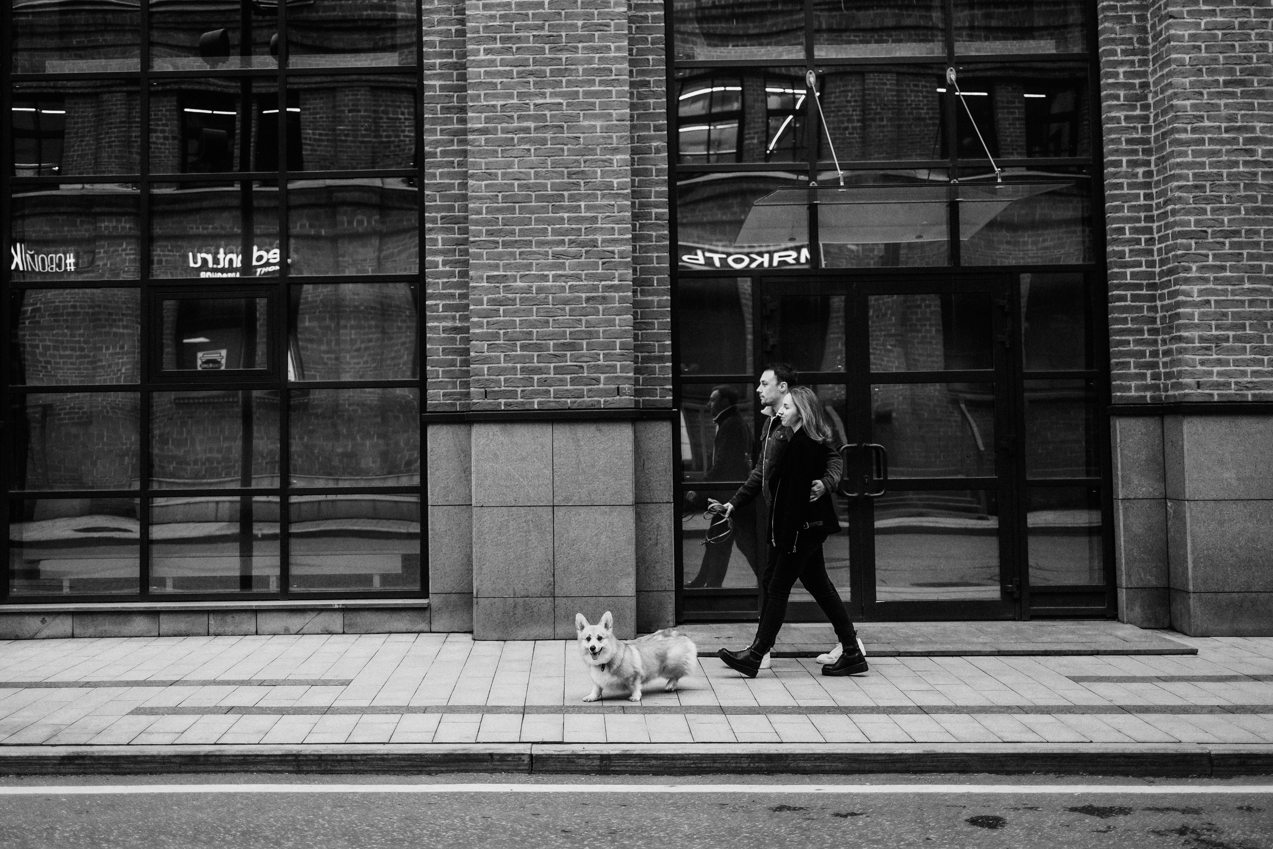 Вера, Саша и Муна. Фотограф-анималист Елена Радченко, Москва