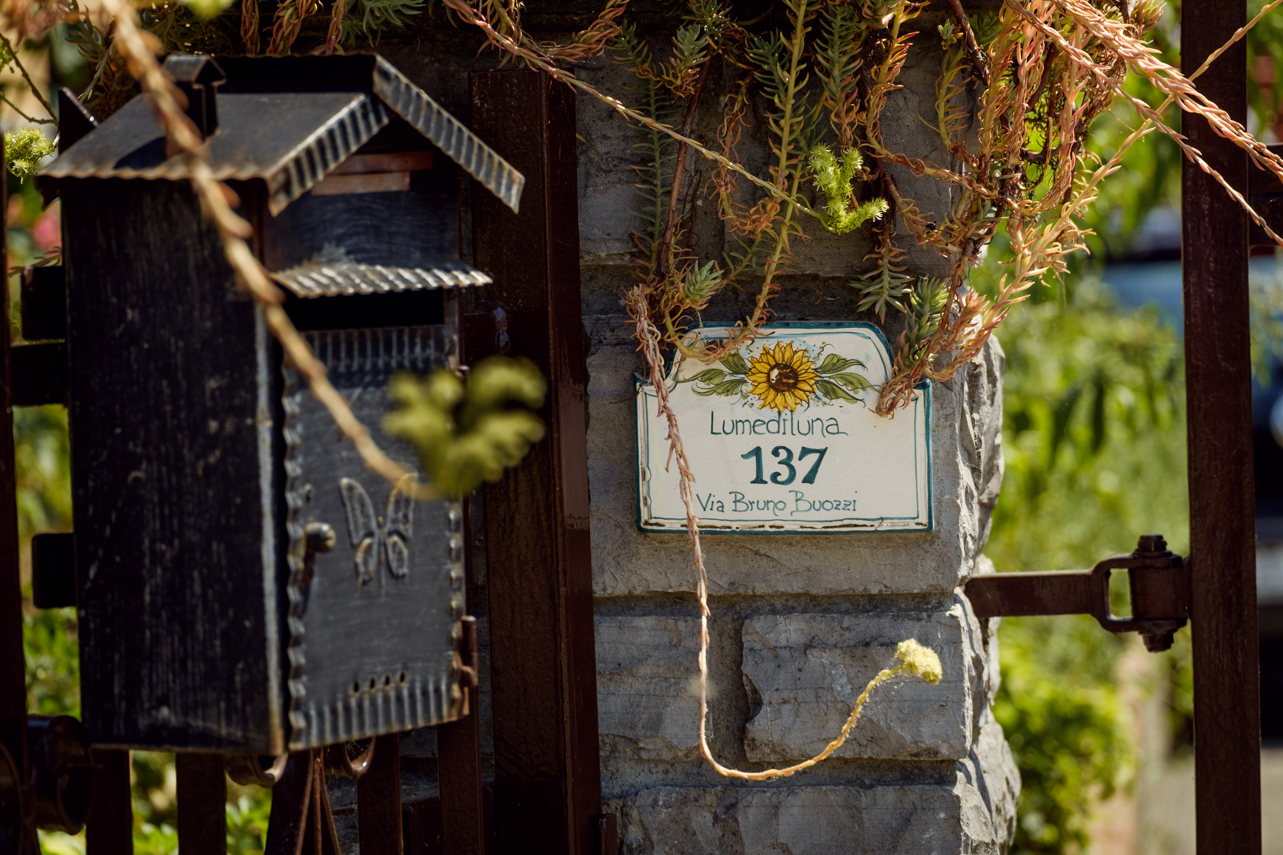 Travel. Фотограф Антон Денисенко: Портрет, Документалистика, Пейзаж. Москва