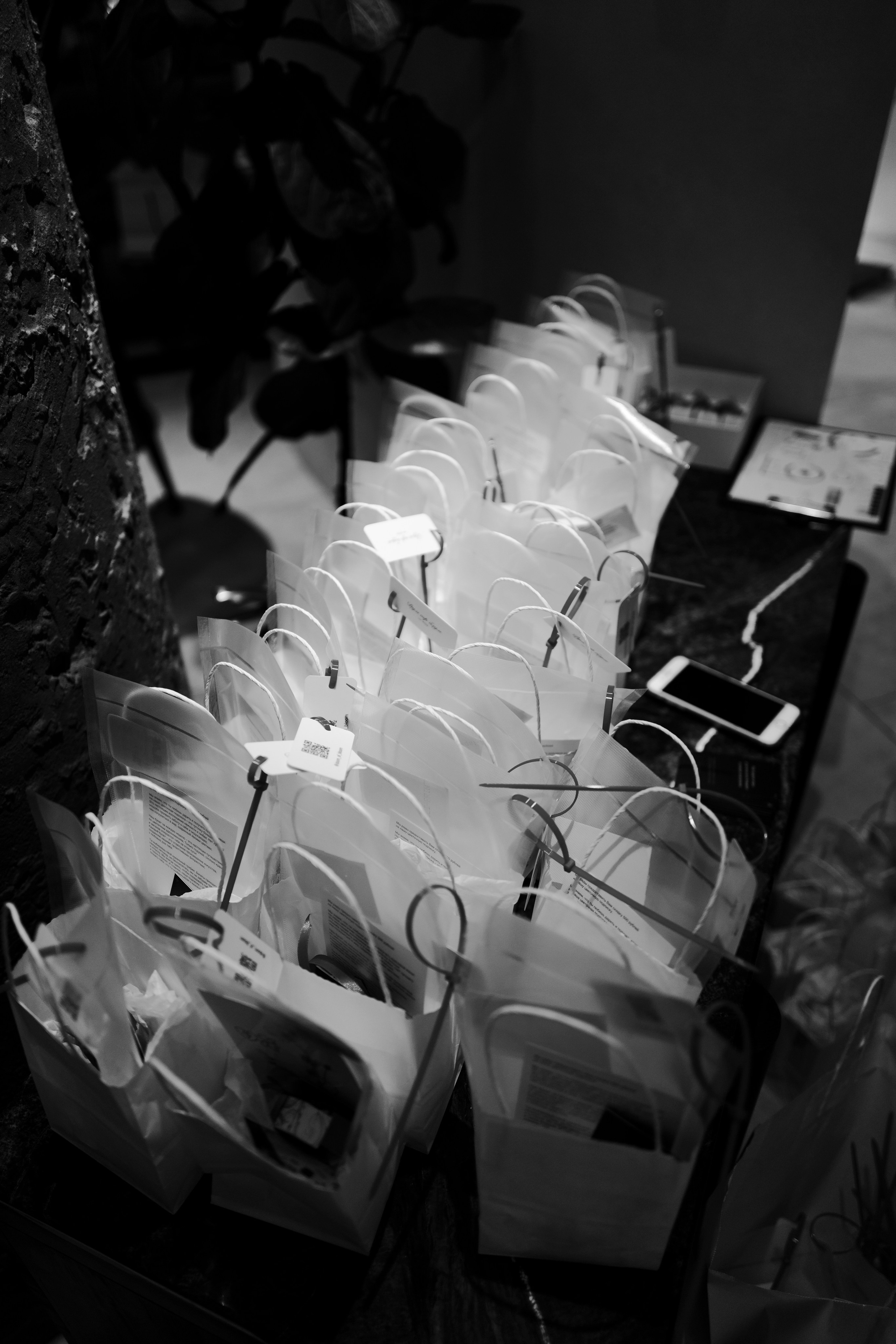 Lu Girls Only. Maxon Magnusson