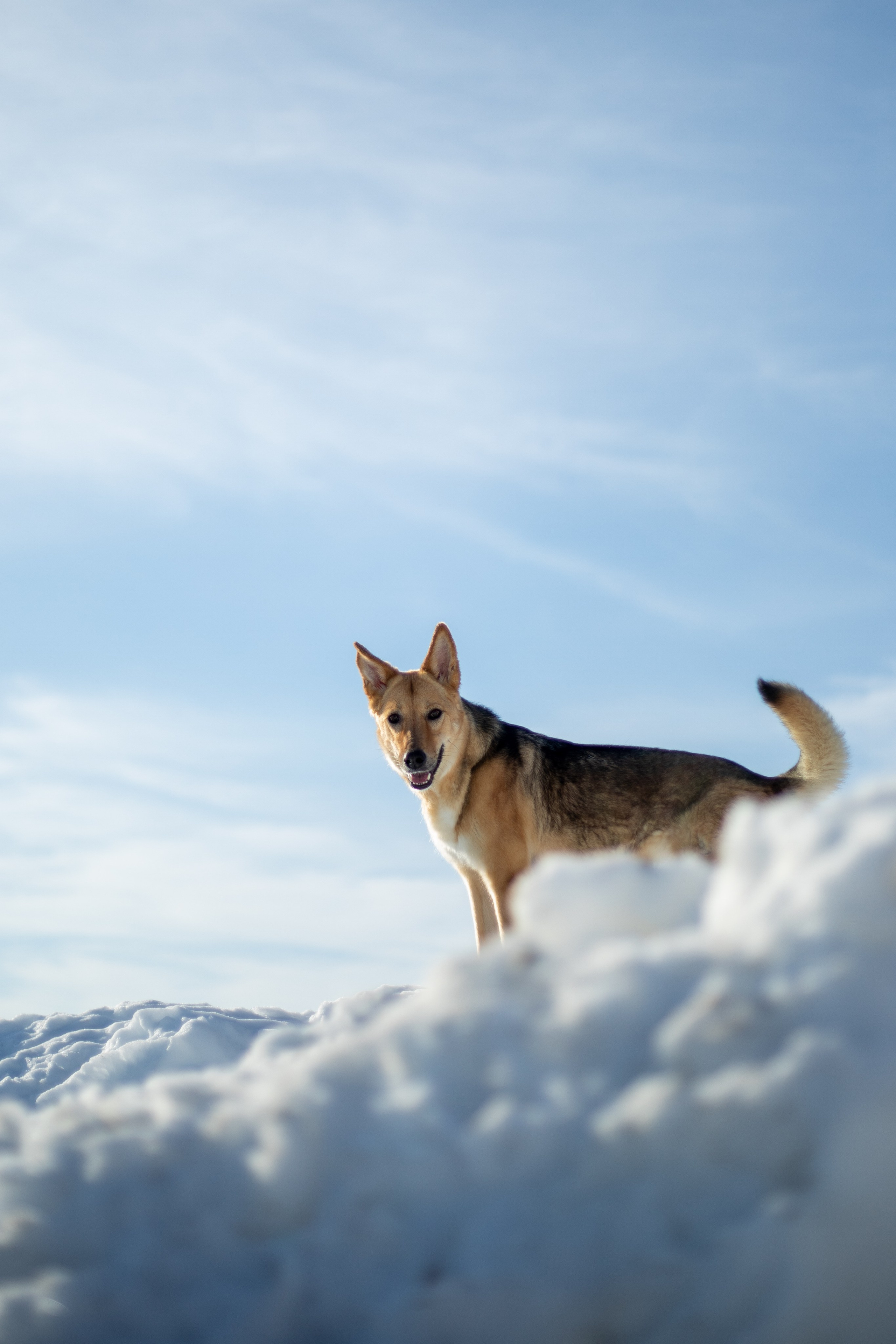 Семья. Фотограф в Перми Любовь Огородова | Авторские туры