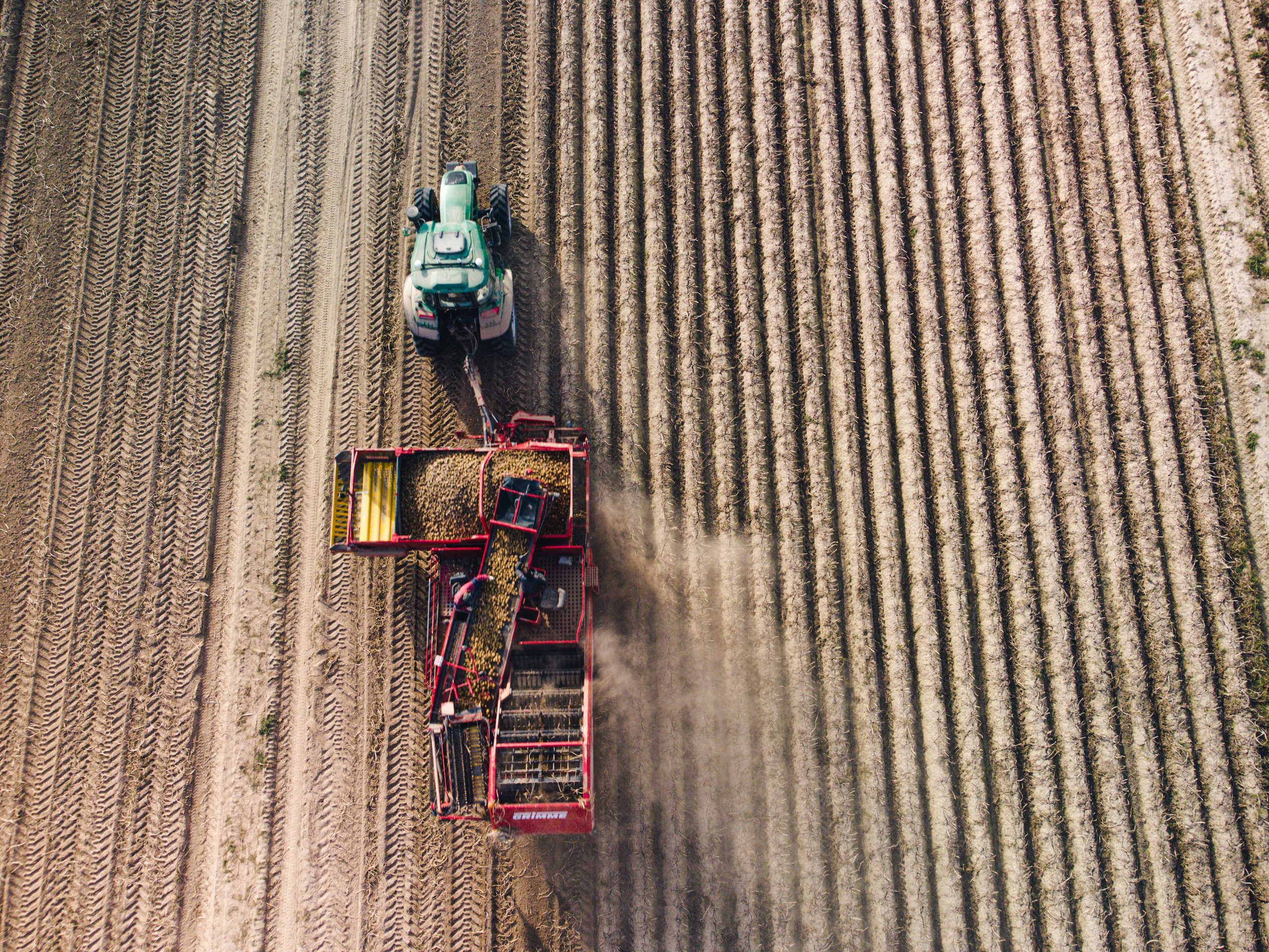 сбор картофеля, день, пыль, трактор