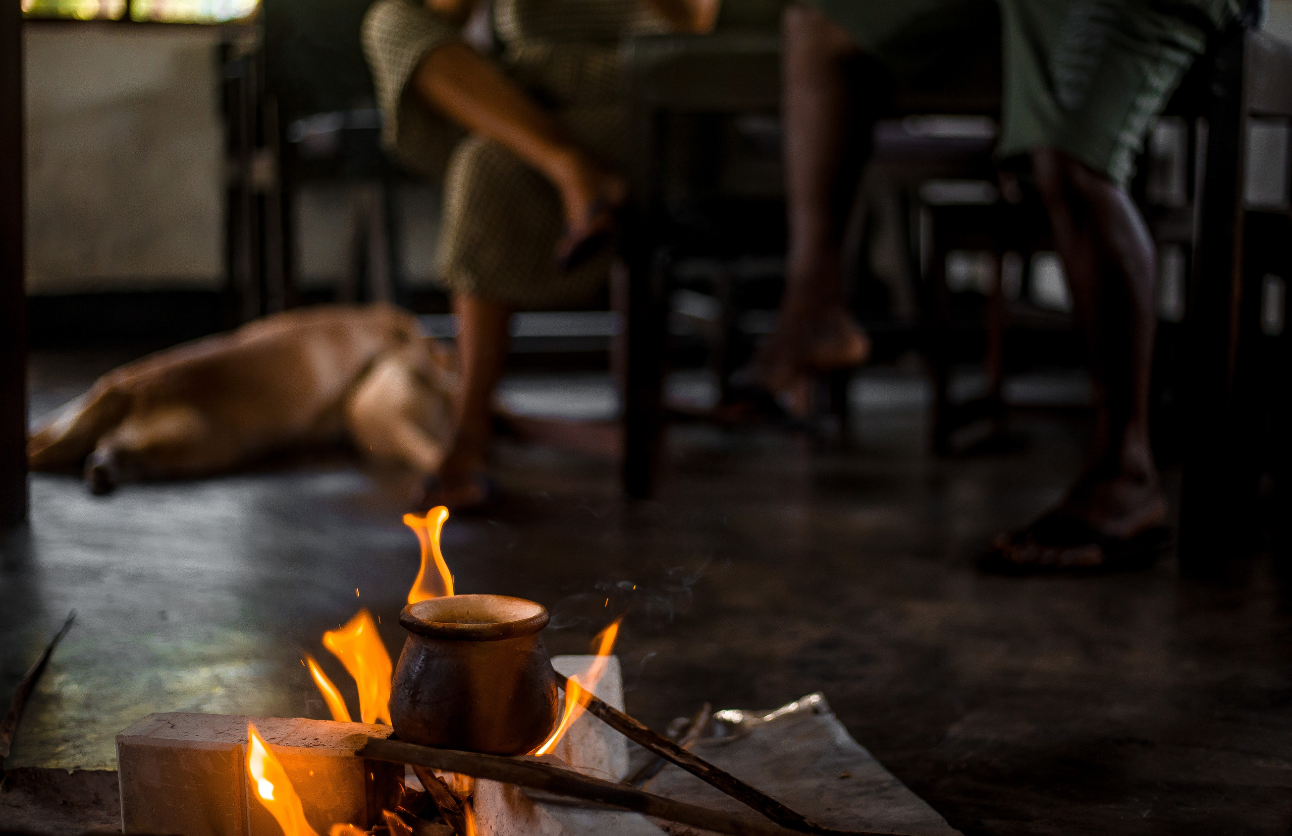 Sri Lanka. Art Photographer