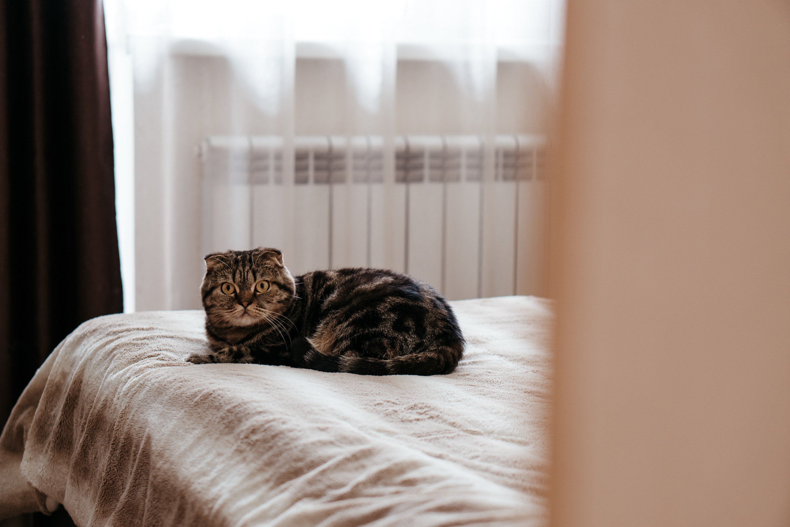 Алексей и Елена. Свадебный фотограф в Москве